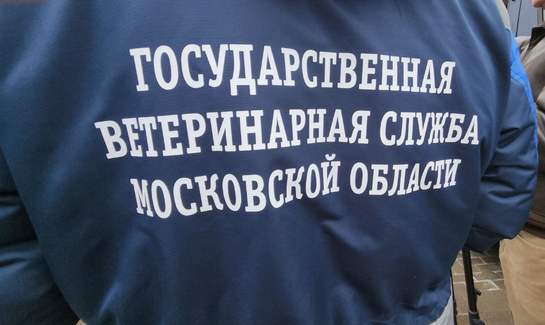 красногорск, чипирование домашних животных, ветеринар,