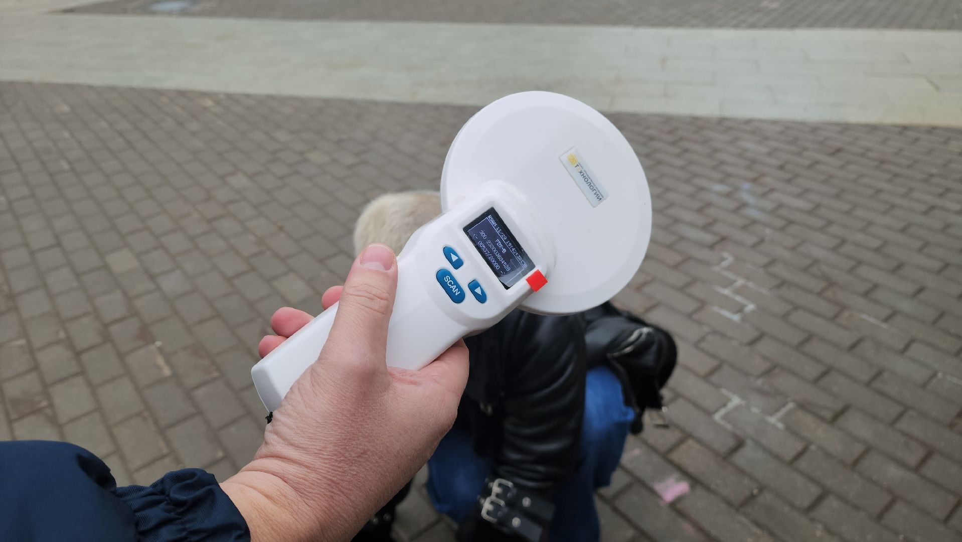 красногорск, чипирование домашних животных, ветеринар,