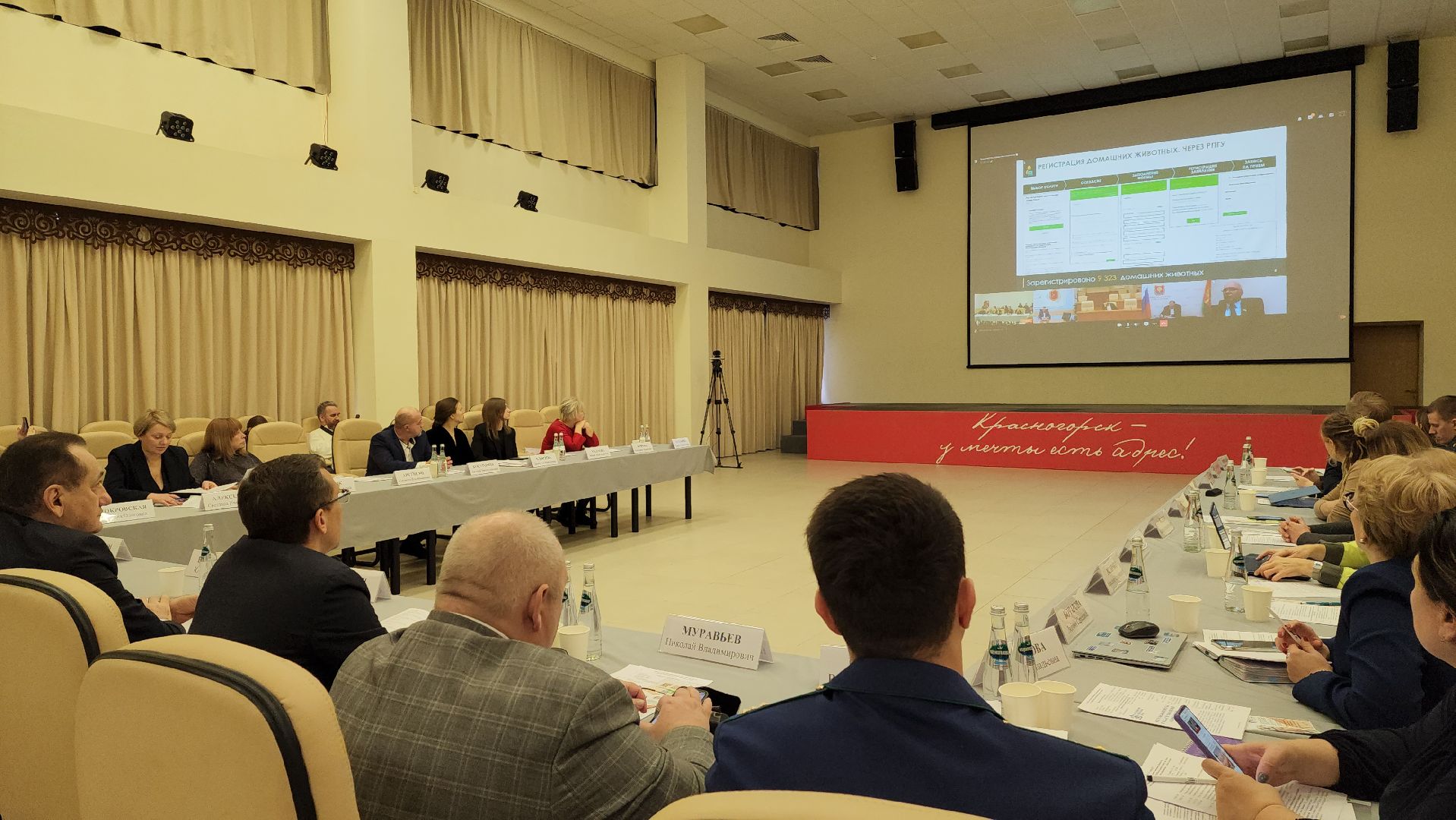 красногорск, чипирование домашних животных, ветеринар,