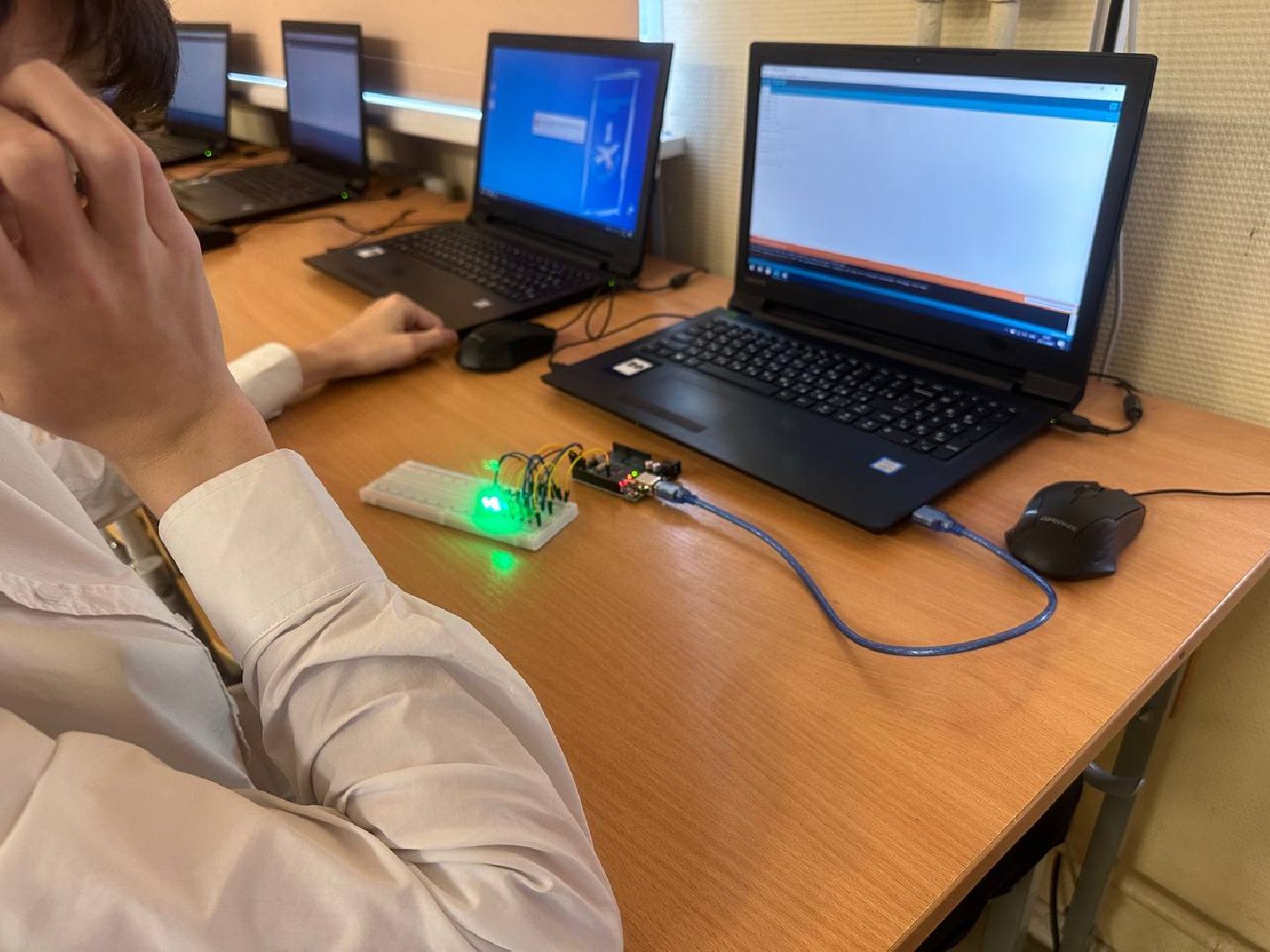 образование, it, программирование