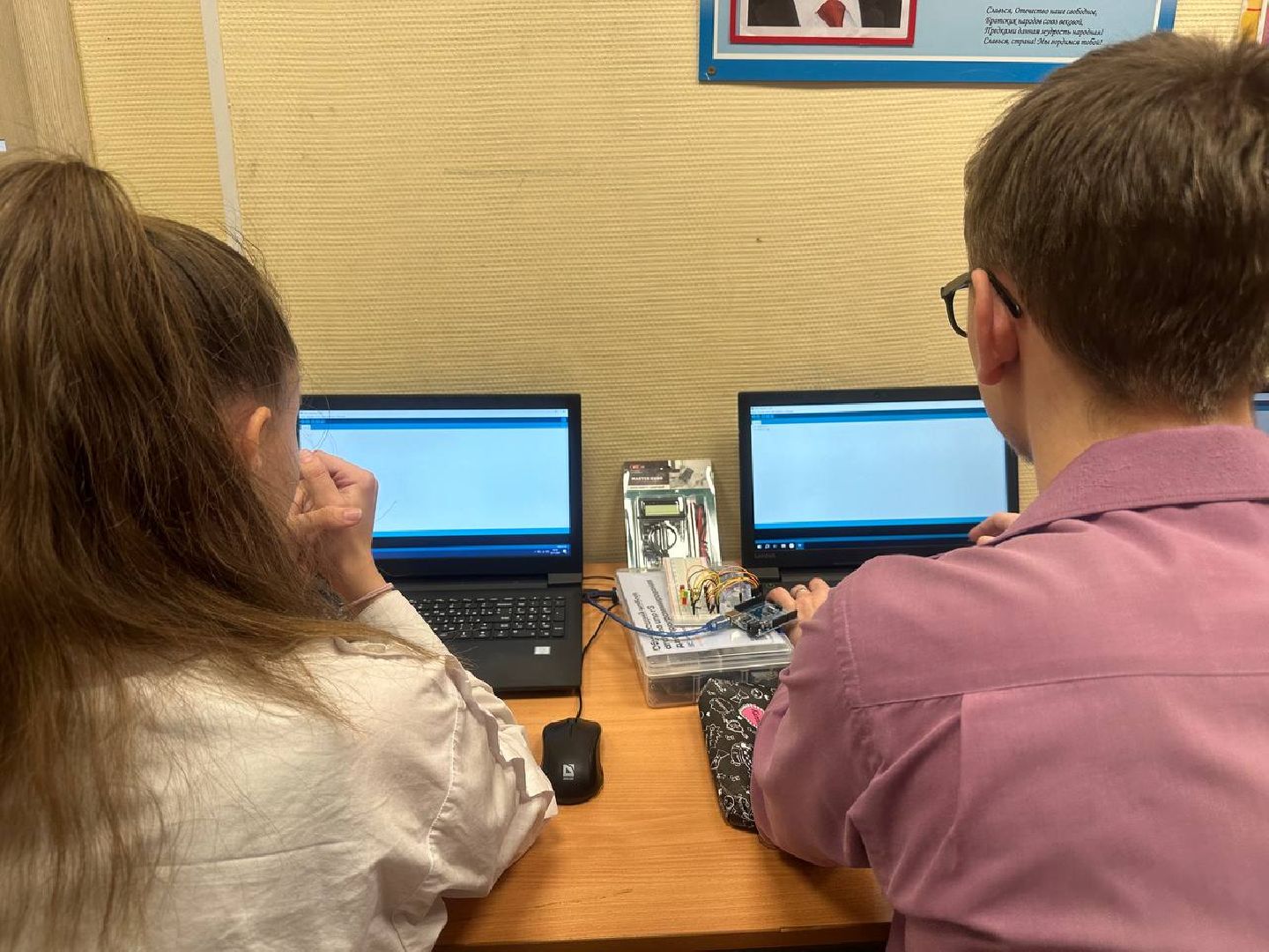 образование, it, программирование