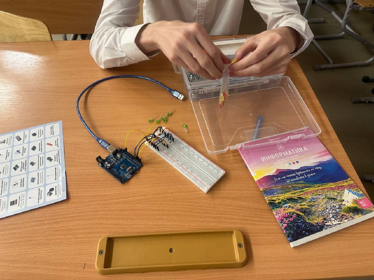 образование, it, программирование