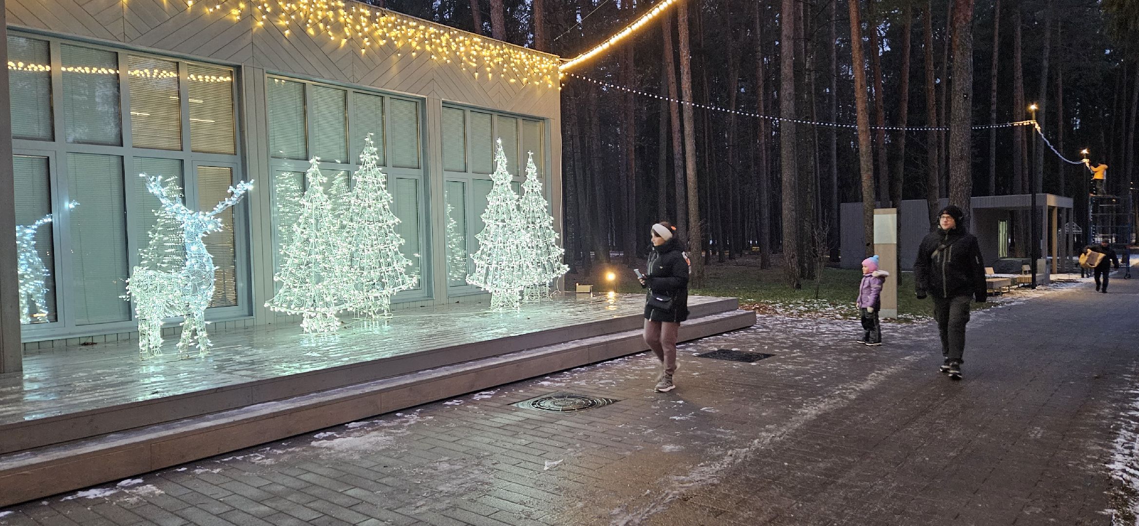 жуковский парк, новый год, Жуковский, вертикалки,