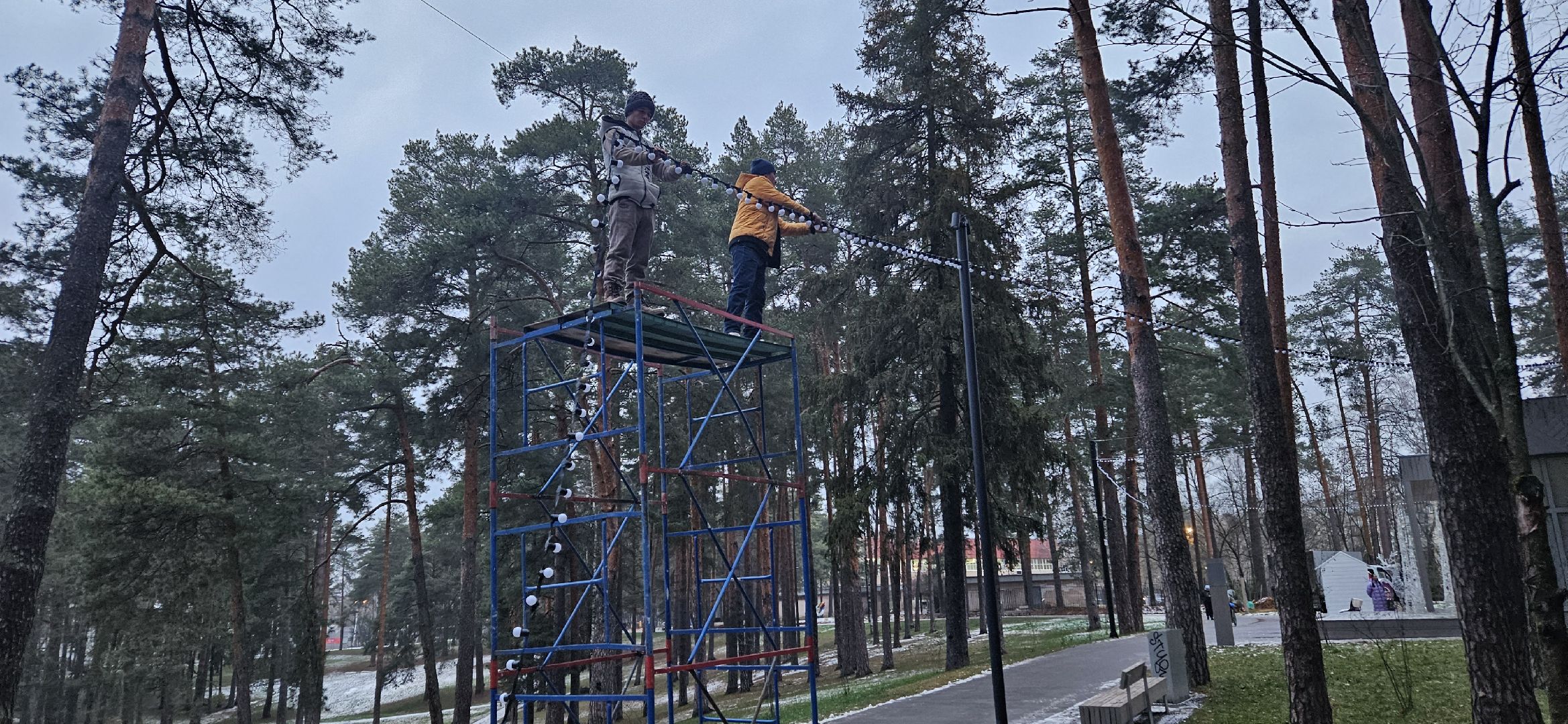 жуковский парк, новый год, Жуковский, вертикалки,