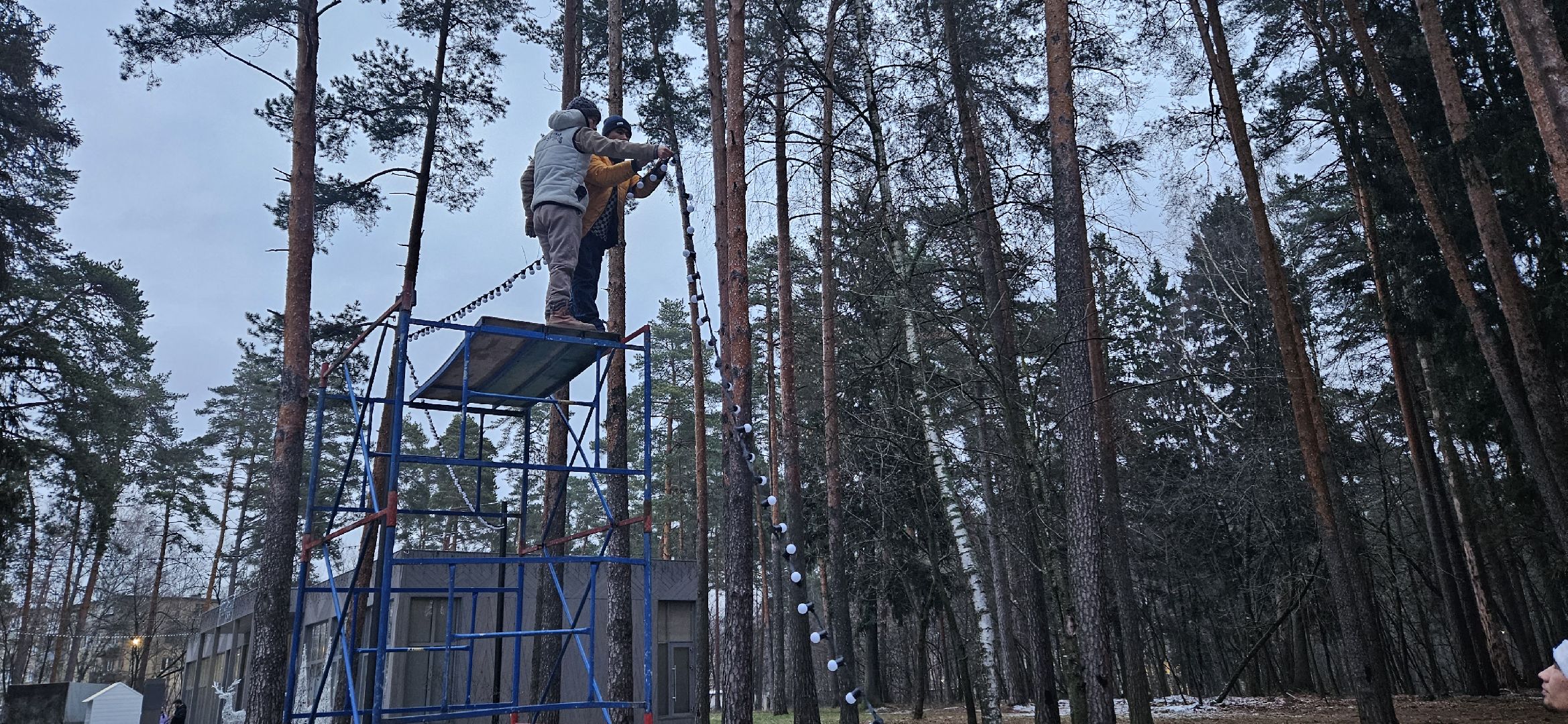 жуковский парк, новый год, Жуковский, вертикалки,