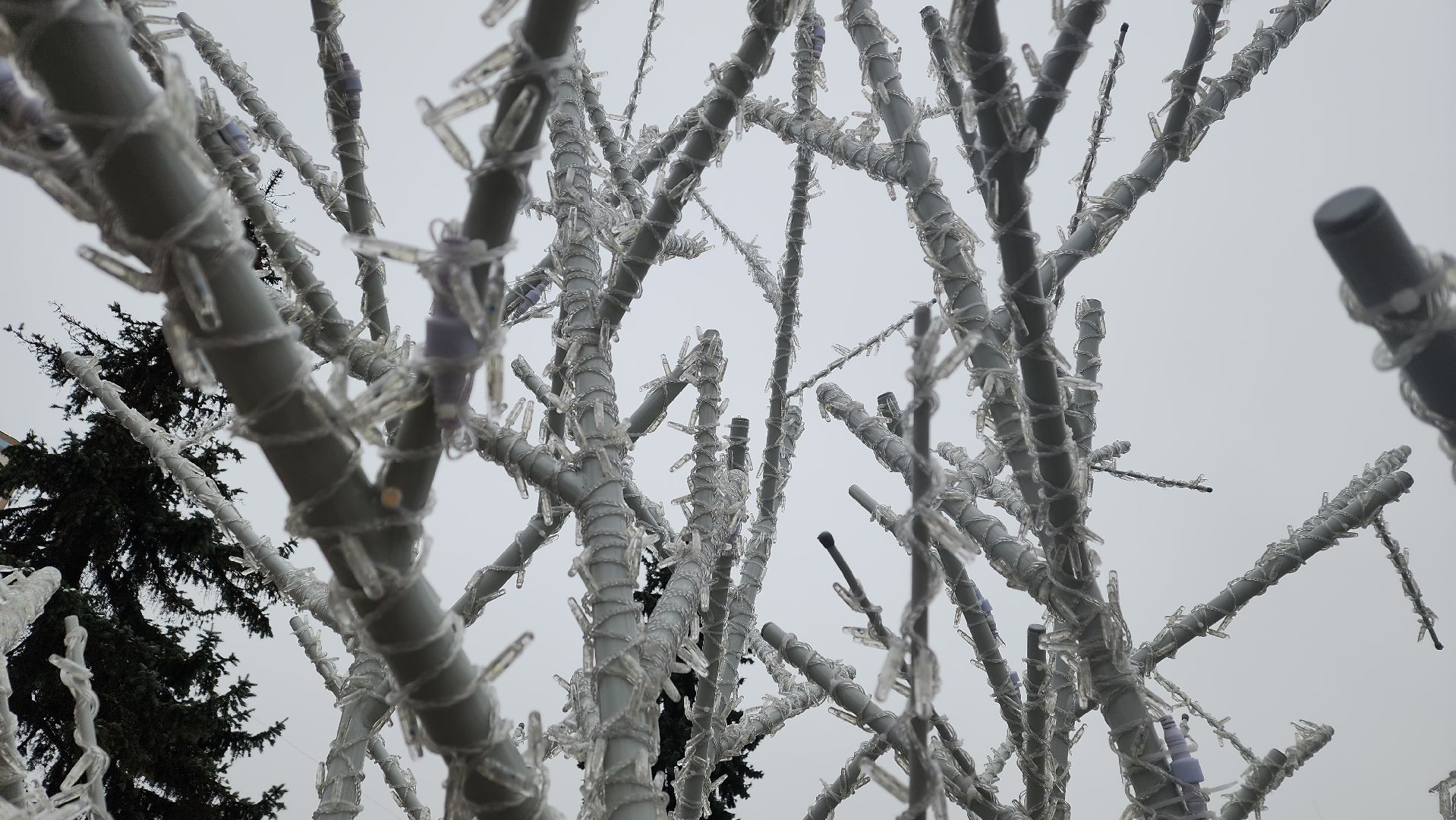 вертикалки, пушкино, инсталляции, украшение города к новому году, площадь, светодиодная композиция, светодиоды, деревья,