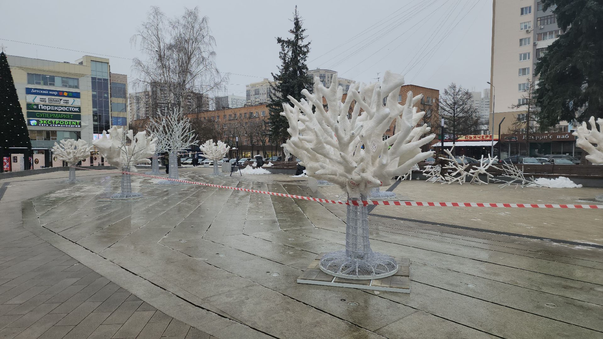 вертикалки, пушкино, инсталляции, украшение города к новому году, площадь, светодиодная композиция, светодиоды, деревья,