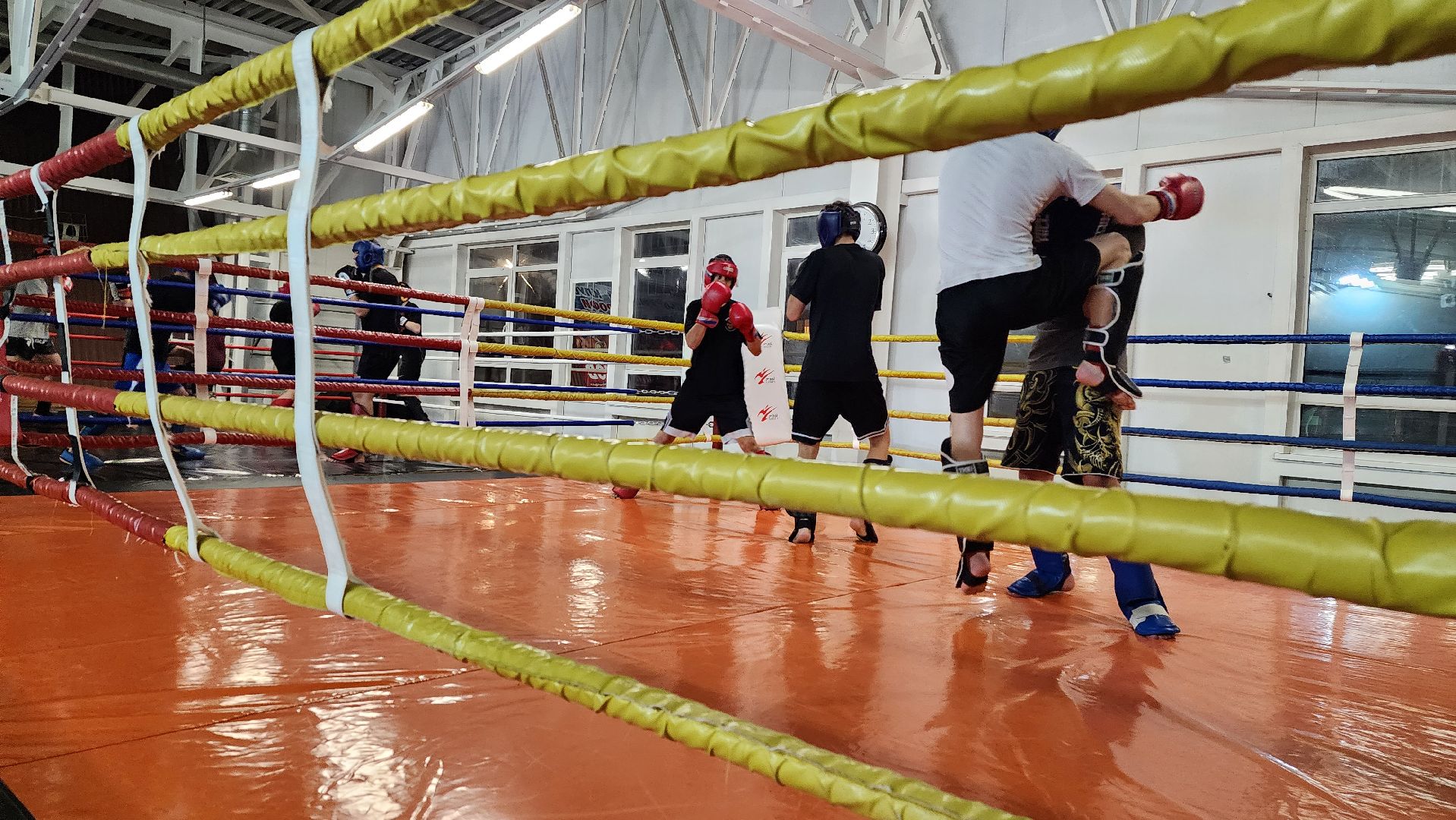 спорт, кикбоксинг, спортивная школа, чемпион,