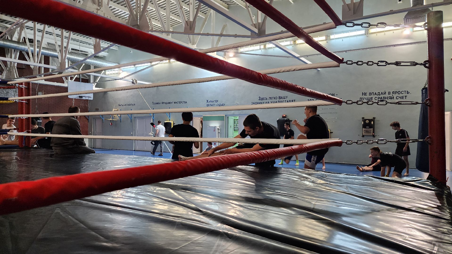 спорт, кикбоксинг, спортивная школа, чемпион,