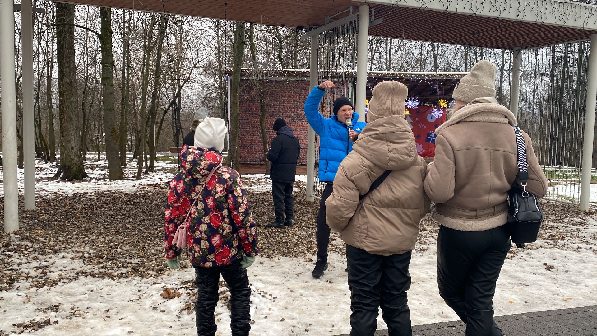 Праздник, Парк, Зима, зима в подмосковье,вертикалки,