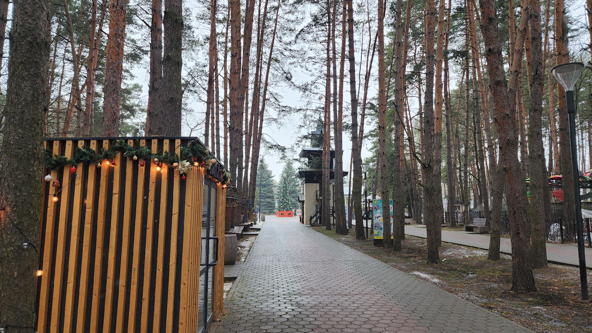 зима в парках, Елка, зима в подмосковье, домодедово, открытие зимнего сезона, Зима,