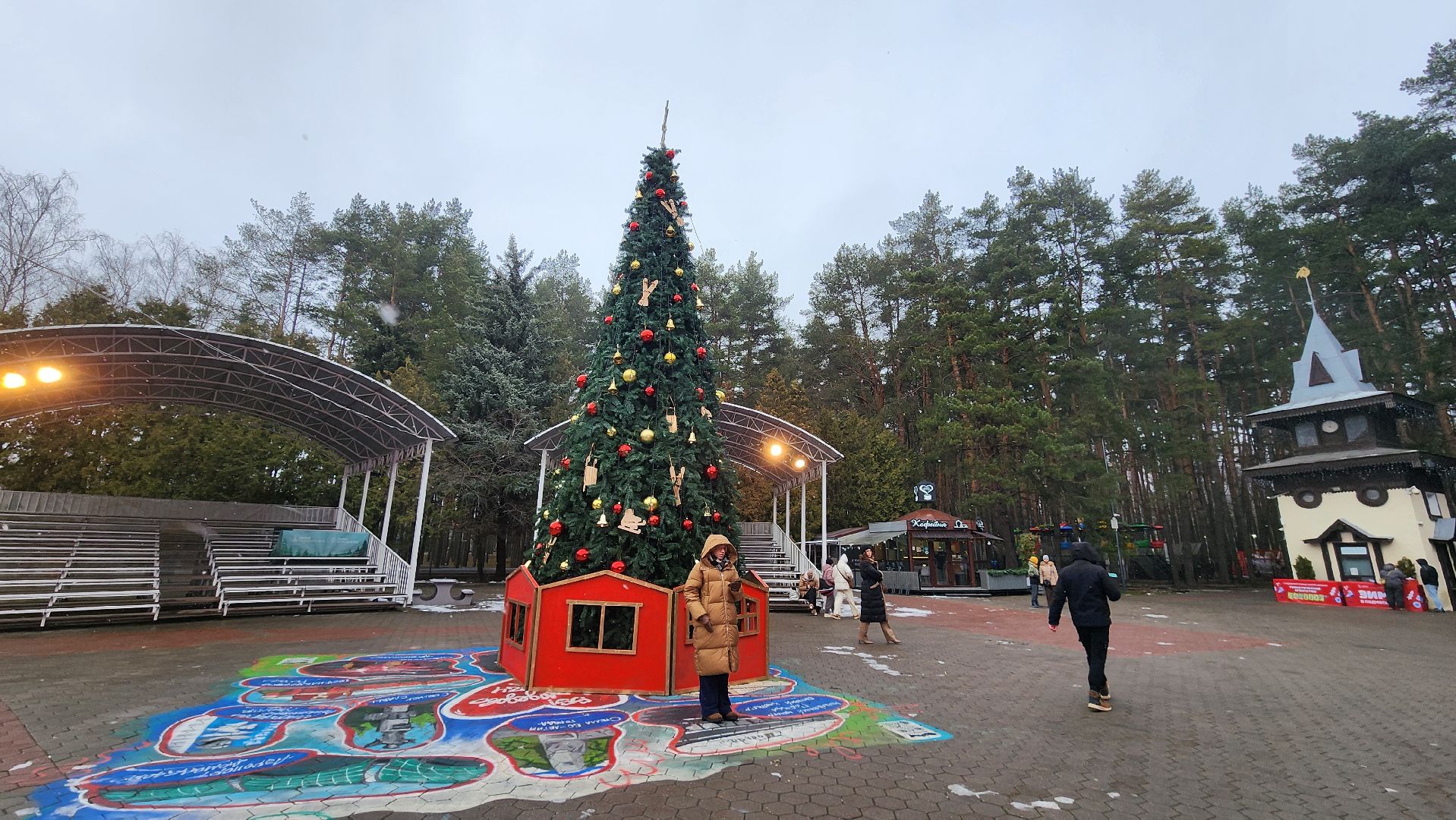 зима в парках, Елка, зима в подмосковье, домодедово, открытие зимнего сезона, Зима,