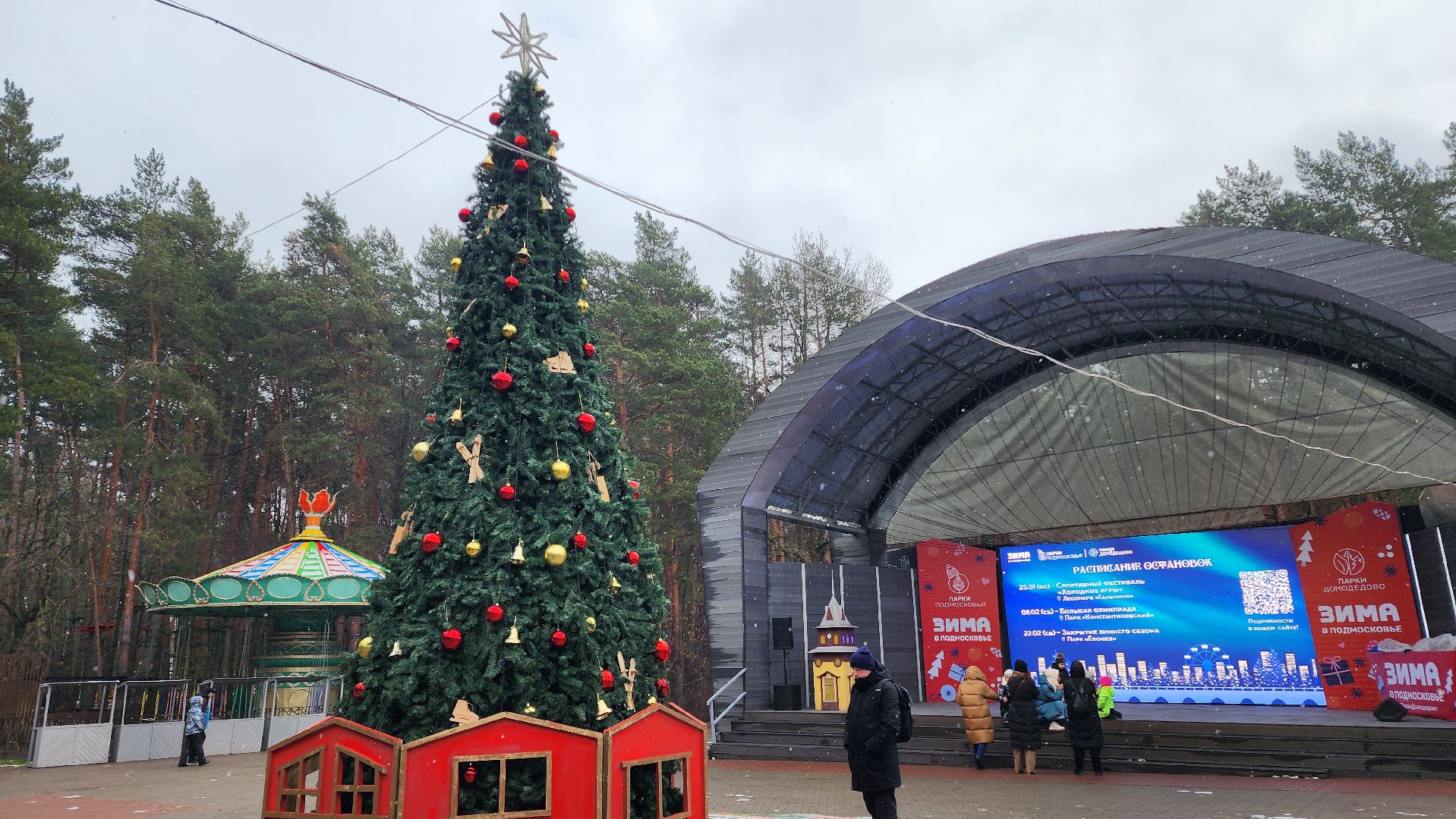 зима в парках, Елка, зима в подмосковье, домодедово, открытие зимнего сезона, Зима,