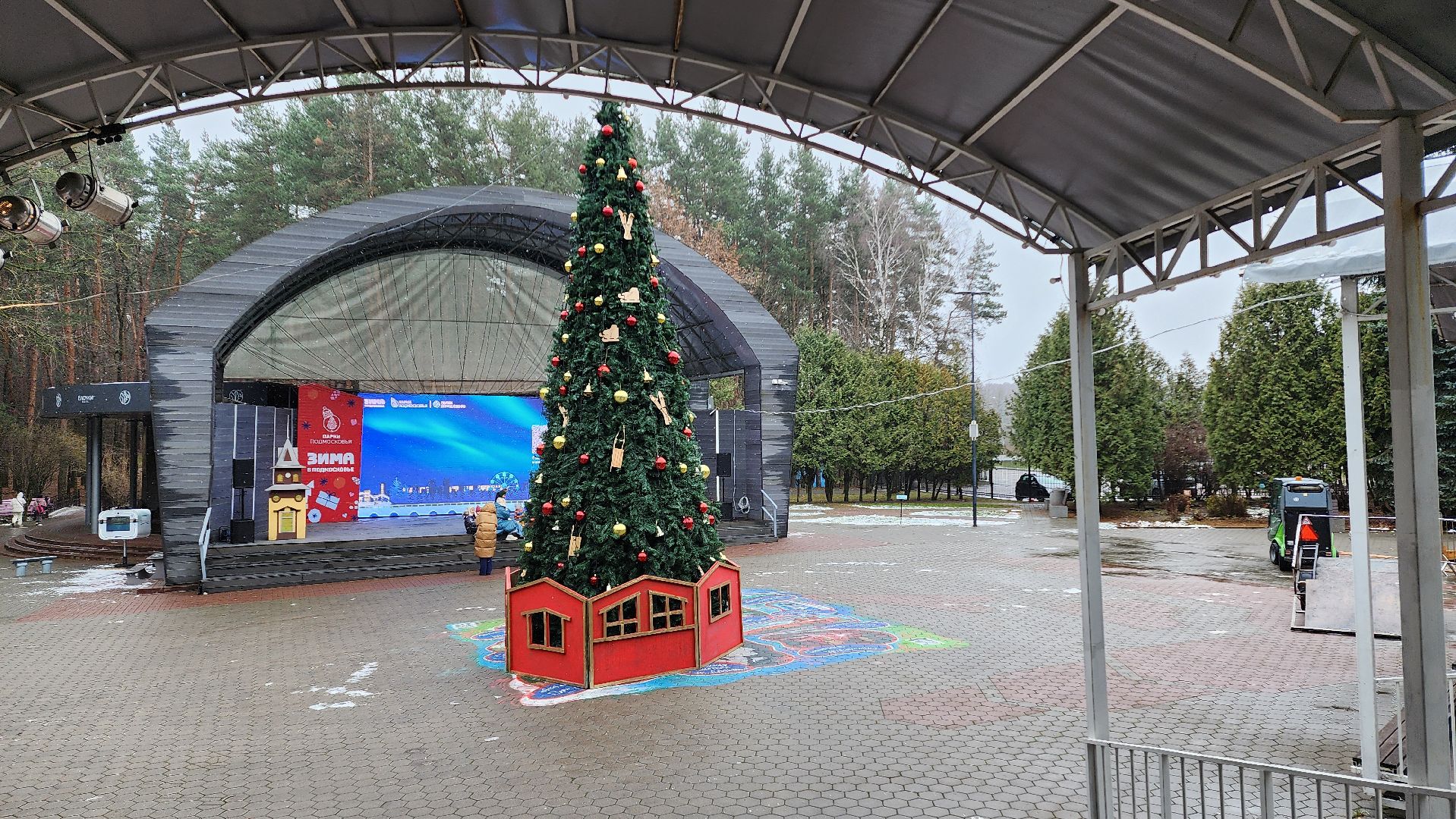 зима в парках, Елка, зима в подмосковье, домодедово, открытие зимнего сезона, Зима,
