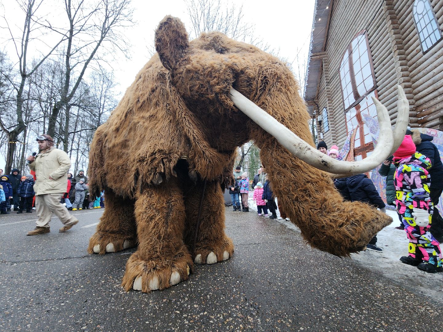 парк, парки подмосковья, руза, городок, парк городок, зима в парке, рузский городской округ, зима в подмосковье, вертикалки,