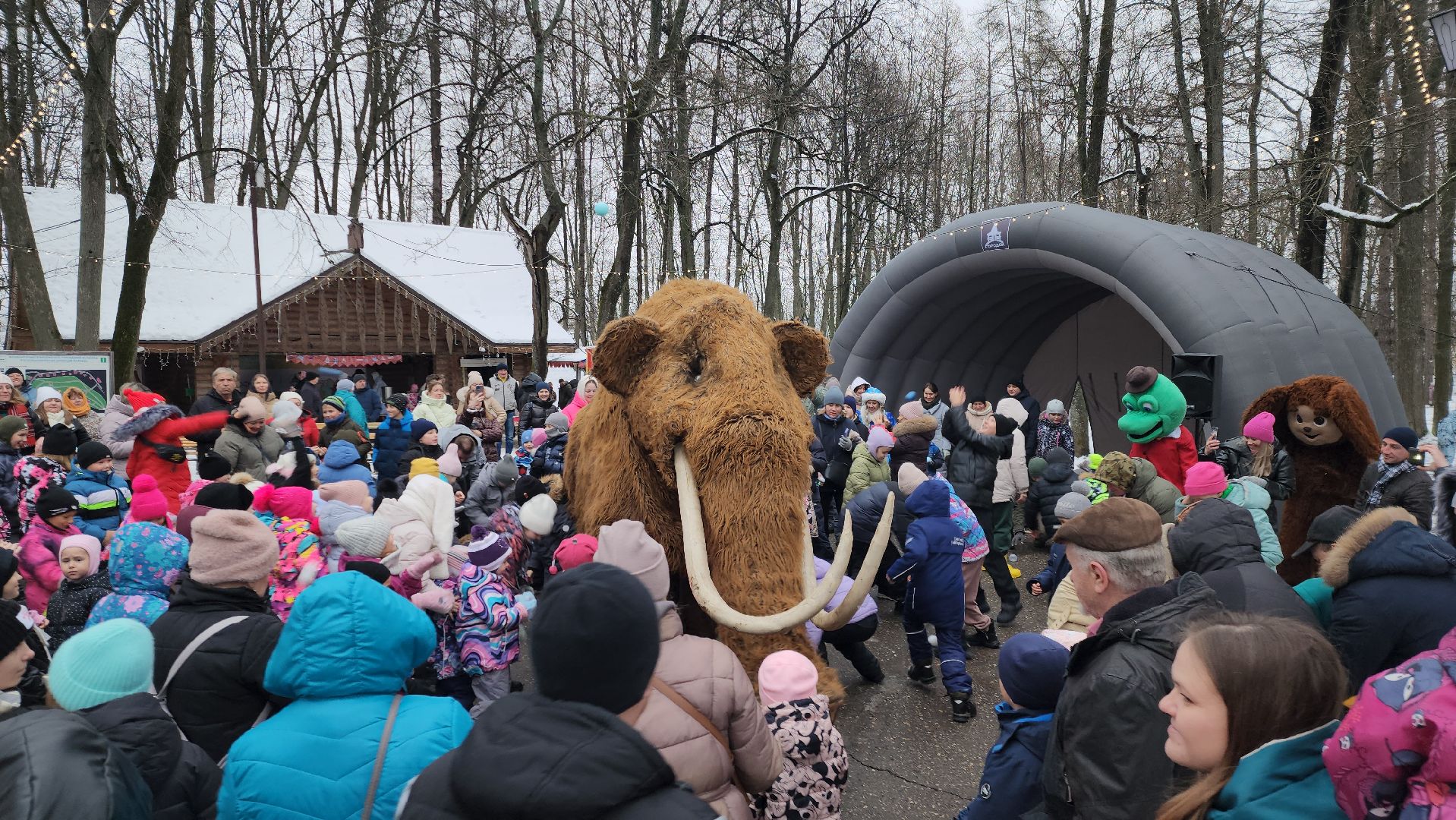 парк, парки подмосковья, руза, городок, парк городок, зима в парке, рузский городской округ, зима в подмосковье, вертикалки,