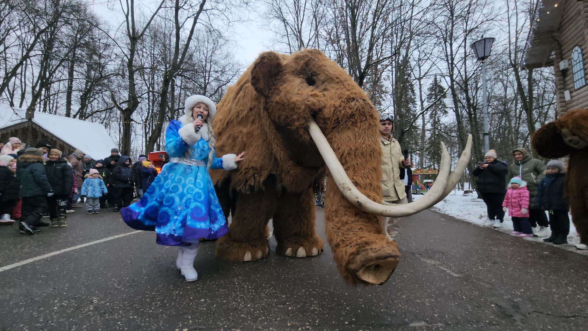 парк, парки подмосковья, руза, городок, парк городок, зима в парке, рузский городской округ, зима в подмосковье, вертикалки,
