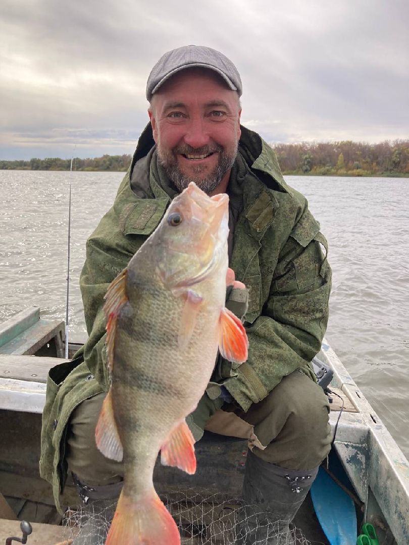 Егорьевск, рыбокомбинат, ЦНА, Подмосковье, бизнес в подмосковье, Московская область,вертикалка, вертикальное видео,