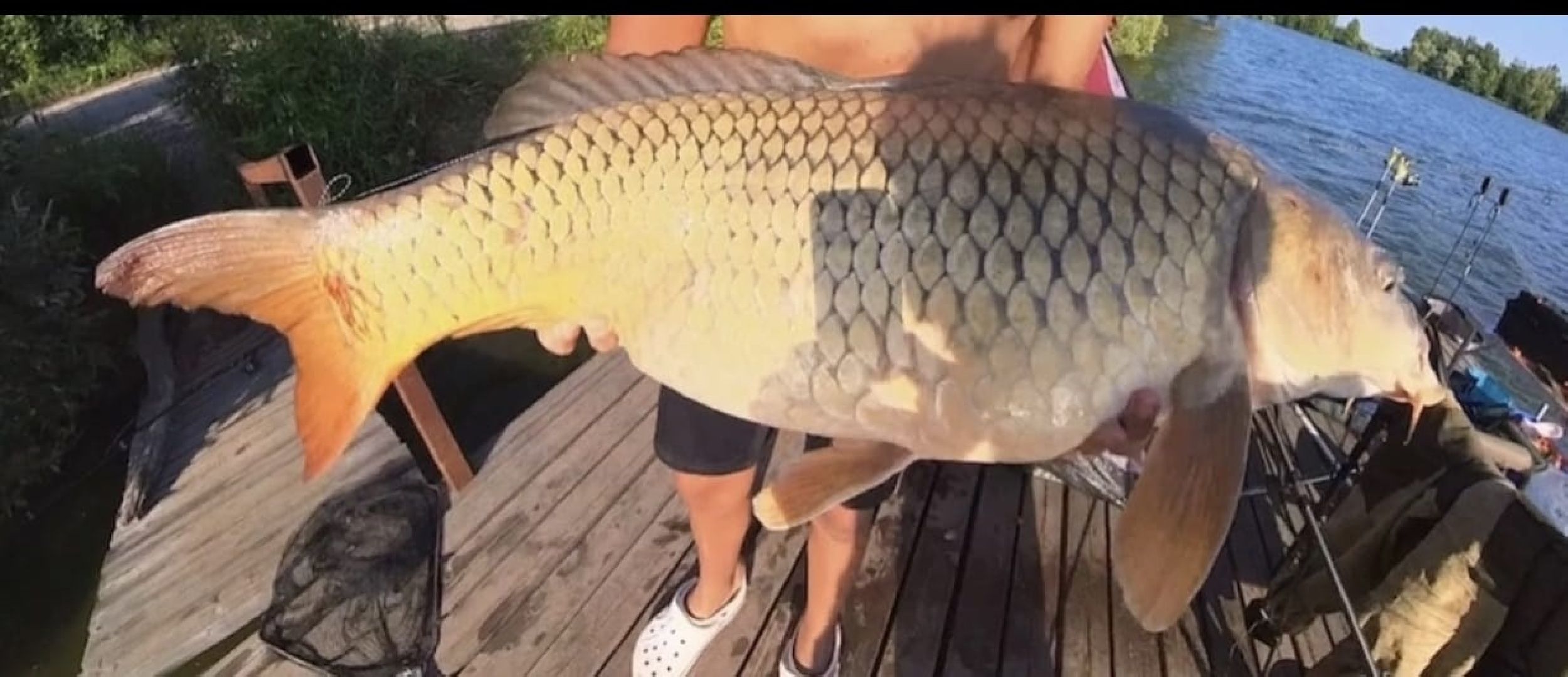 Егорьевск, рыбокомбинат, ЦНА, Подмосковье, бизнес в подмосковье, Московская область,вертикалка, вертикальное видео,