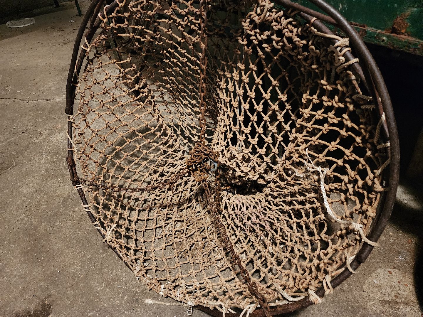 Егорьевск, рыбокомбинат, ЦНА, Подмосковье, бизнес в подмосковье, Московская область,вертикалка, вертикальное видео,