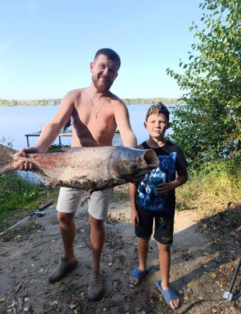 Егорьевск, рыбокомбинат, ЦНА, Подмосковье, бизнес в подмосковье, Московская область,вертикалка, вертикальное видео,