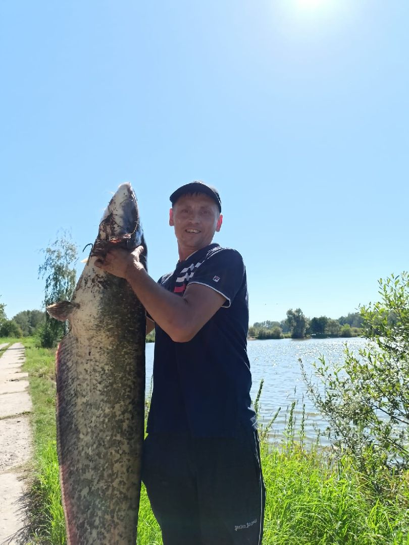 Егорьевск, рыбокомбинат, ЦНА, Подмосковье, бизнес в подмосковье, Московская область,вертикалка, вертикальное видео,