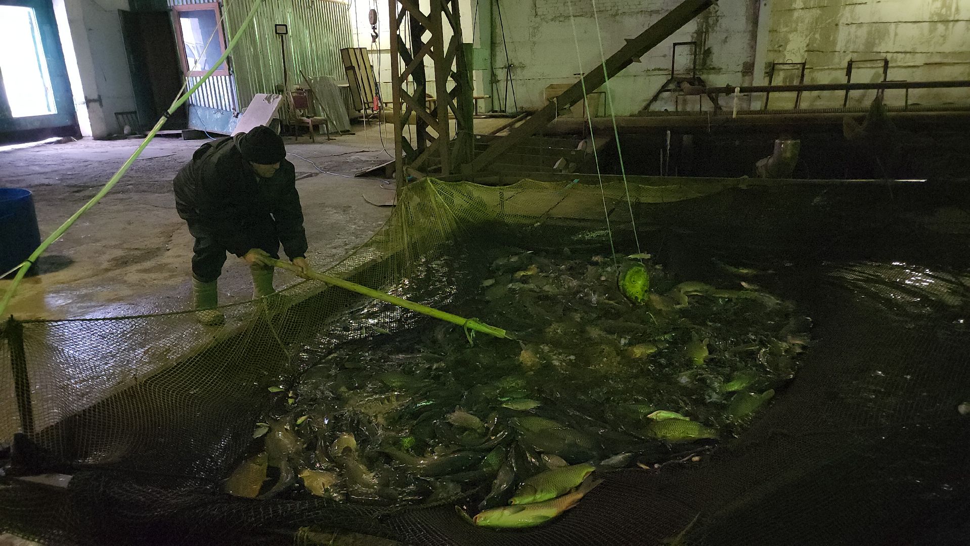 Егорьевск, рыбокомбинат, ЦНА, Подмосковье, бизнес в подмосковье, Московская область,вертикалка, вертикальное видео,