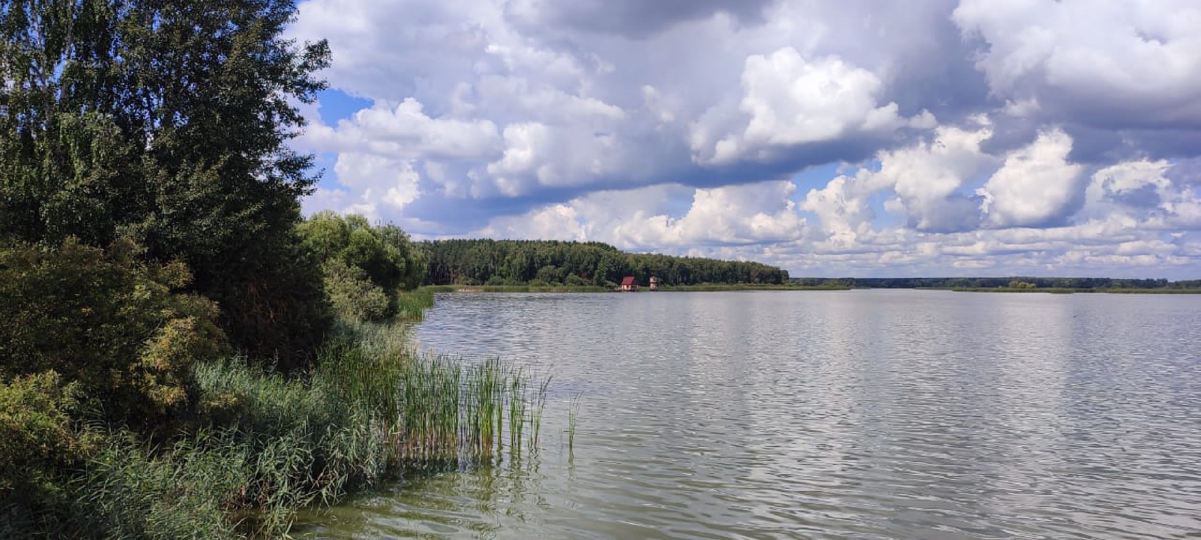 Егорьевск, рыбокомбинат, ЦНА, Подмосковье, бизнес в подмосковье, Московская область,вертикалка, вертикальное видео,