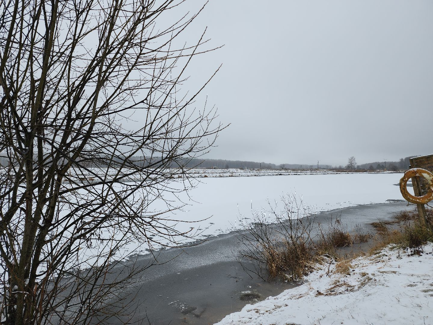 Егорьевск, рыбокомбинат, ЦНА, Подмосковье, бизнес в подмосковье, Московская область,вертикалка, вертикальное видео,