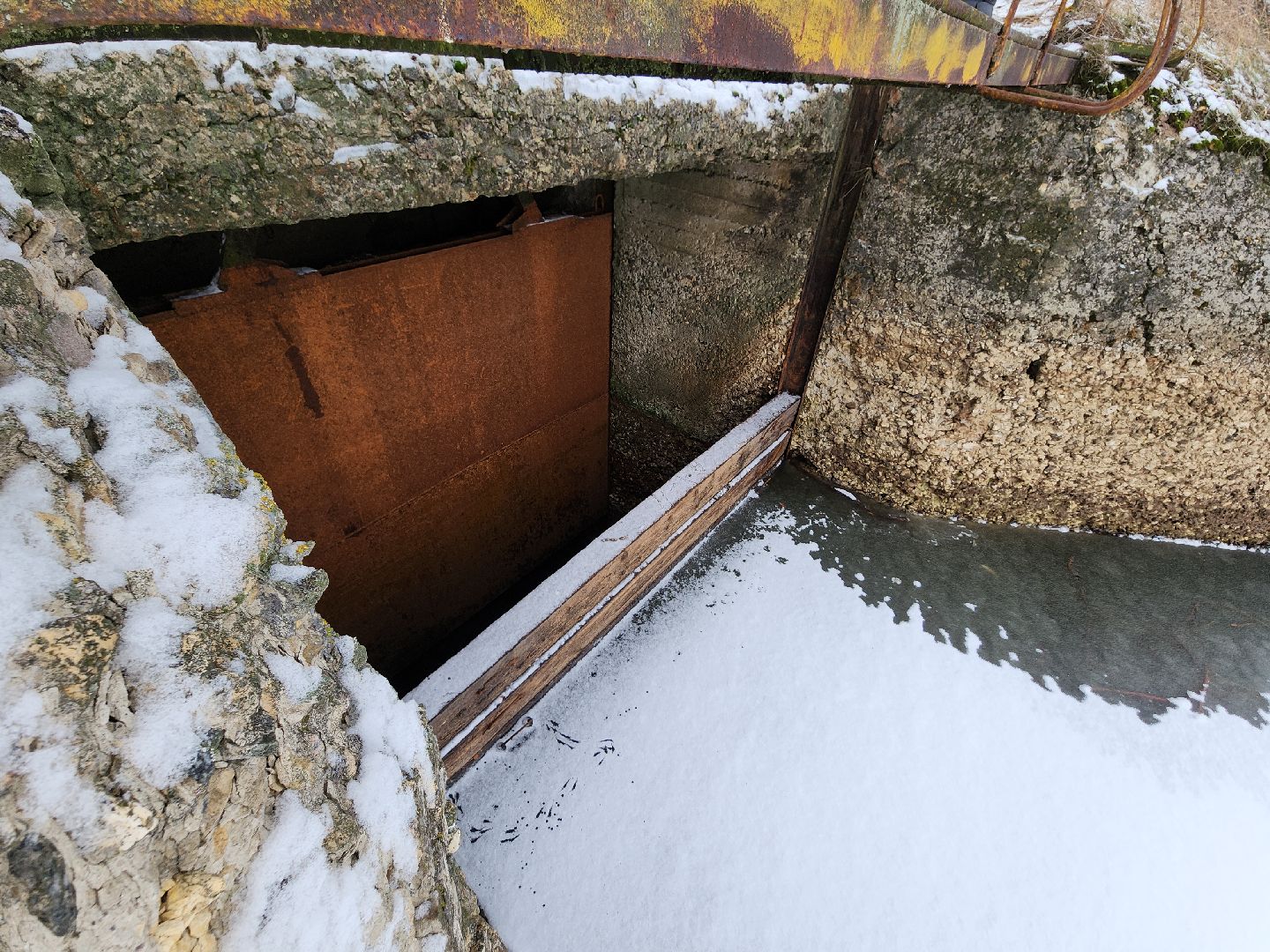 Егорьевск, рыбокомбинат, ЦНА, Подмосковье, бизнес в подмосковье, Московская область,вертикалка, вертикальное видео,