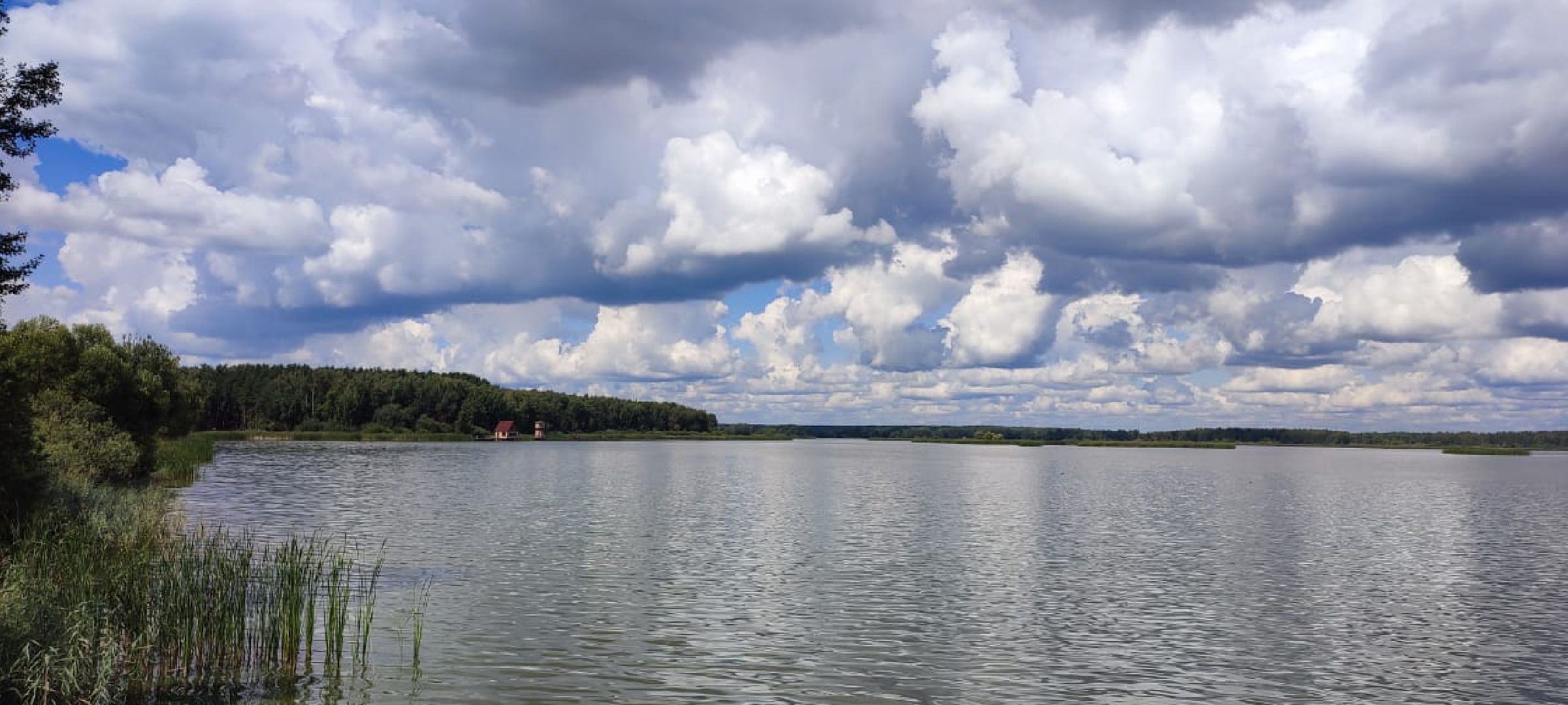 Егорьевск, рыбокомбинат, ЦНА, Подмосковье, бизнес в подмосковье, Московская область,вертикалка, вертикальное видео,