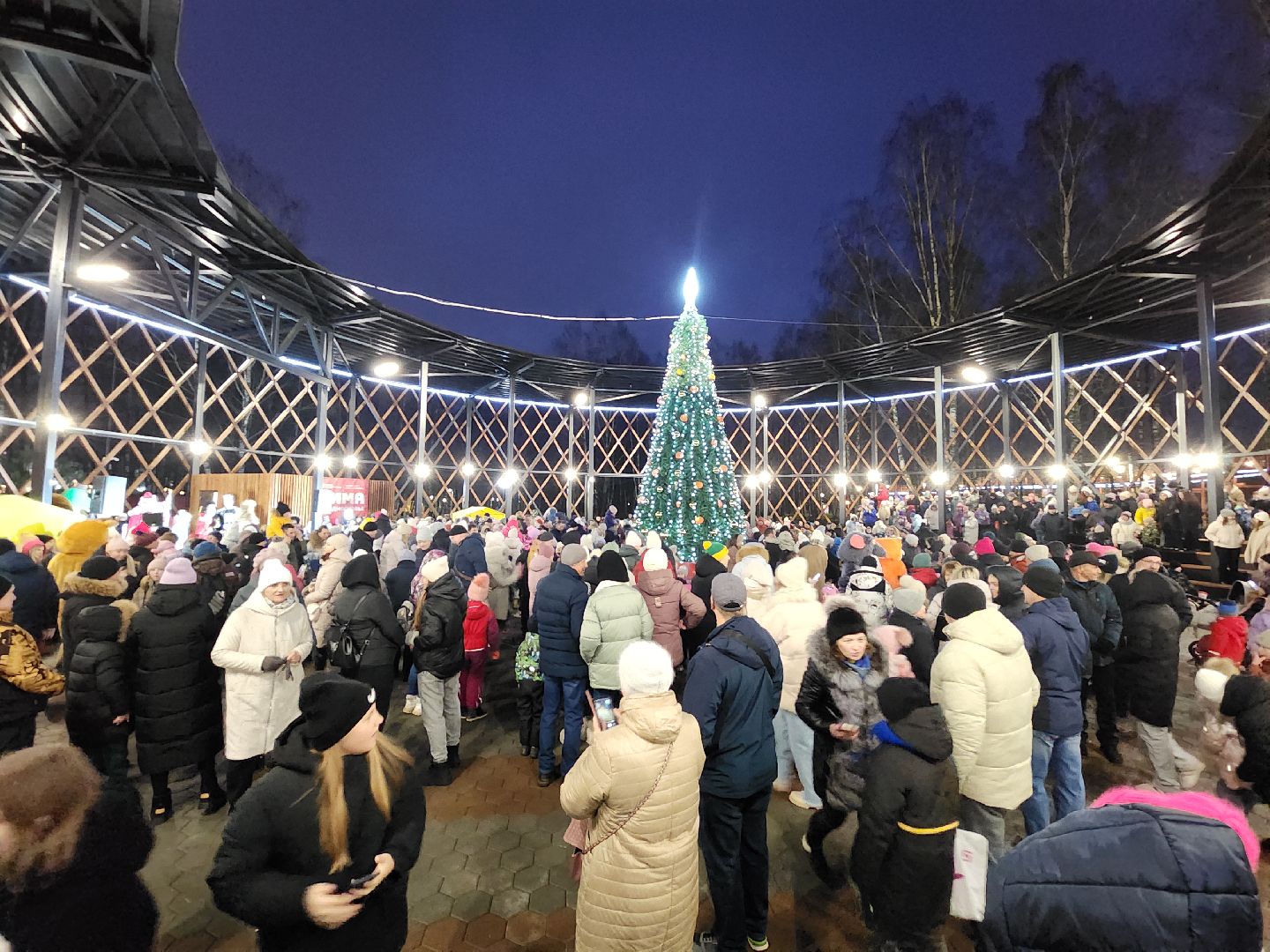 зима в подмосковье, Егорьевск, Московская область, Парк 200 лет Егорьевску», новый год, дед мороз, резиденция деда мороза, вертикалка, вертикальное видео,