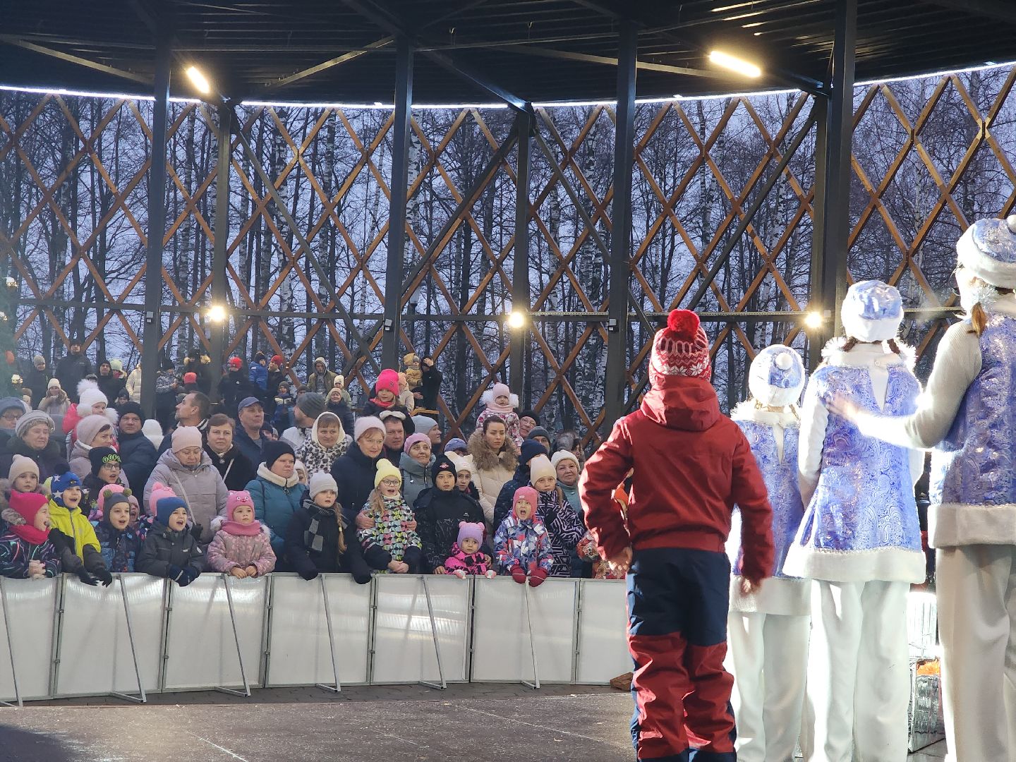 зима в подмосковье, Егорьевск, Московская область, Парк 200 лет Егорьевску», новый год, дед мороз, резиденция деда мороза, вертикалка, вертикальное видео,