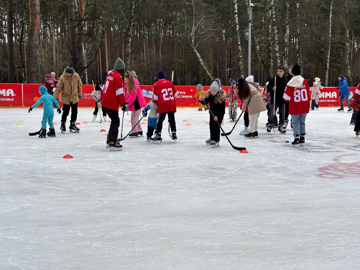 спорт, день хоккея, масте-класс, первый день зимы, парки, вертикалки,