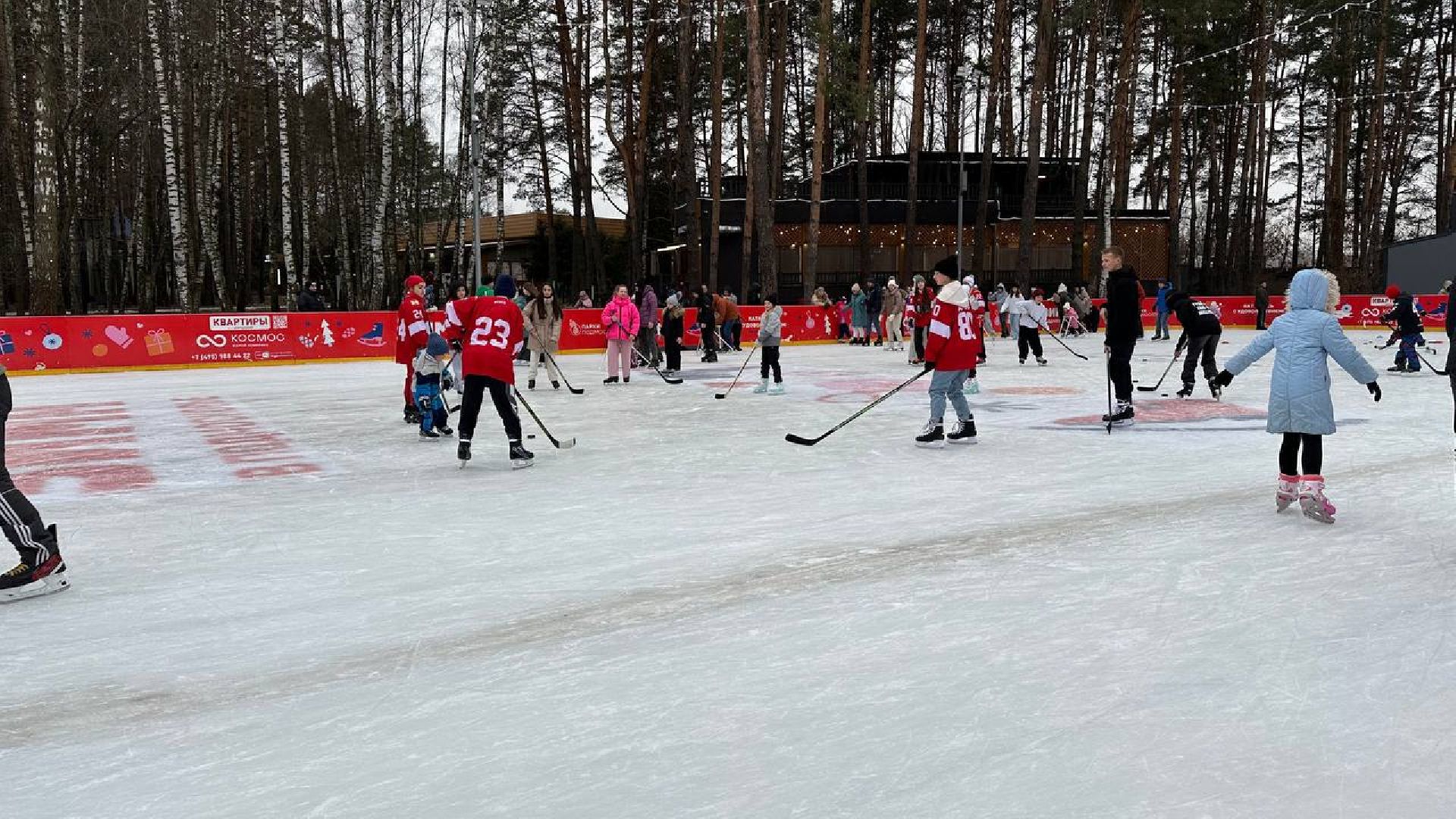 спорт, день хоккея, масте-класс, первый день зимы, парки, вертикалки,