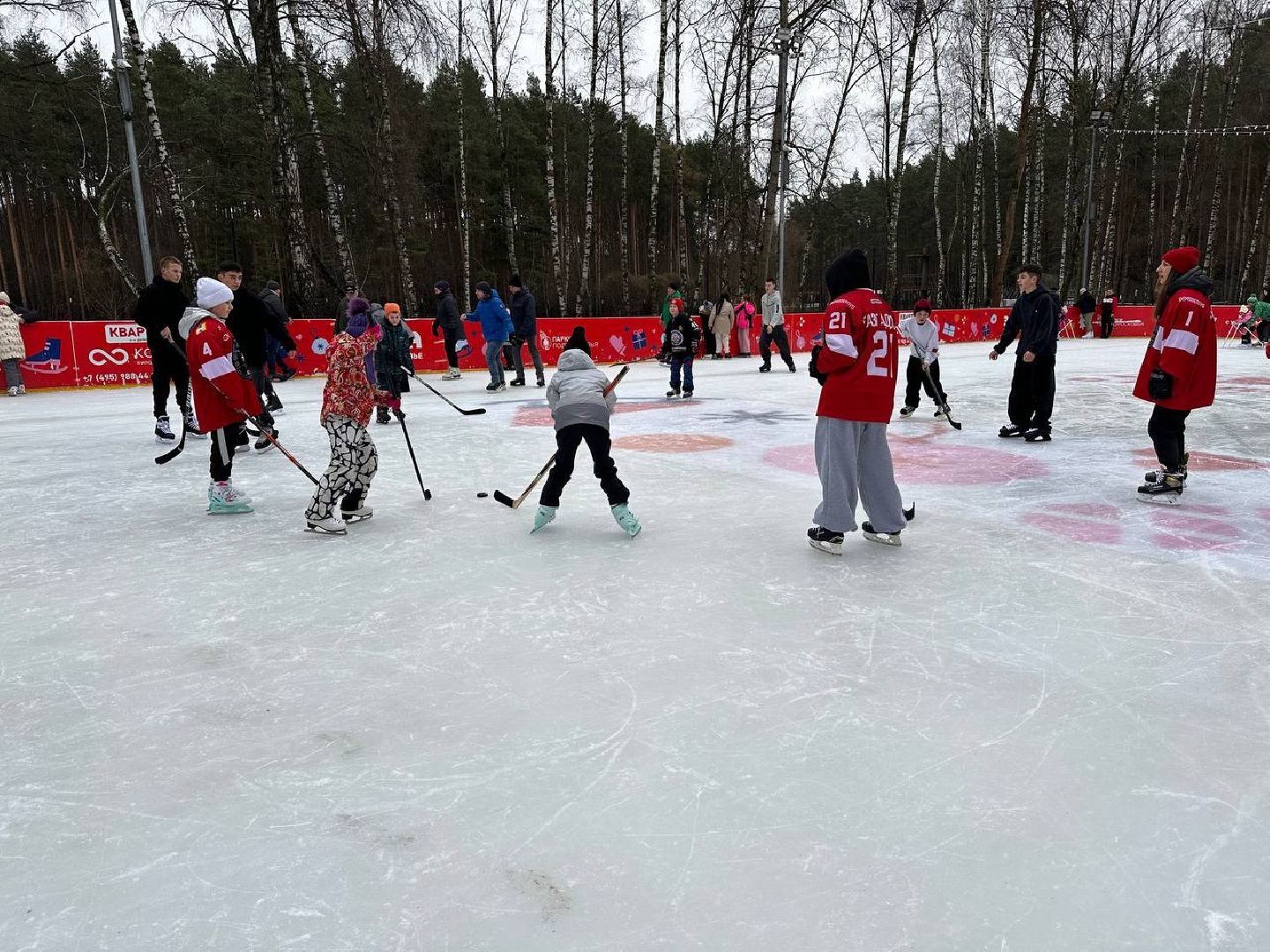 спорт, день хоккея, масте-класс, первый день зимы, парки, вертикалки,