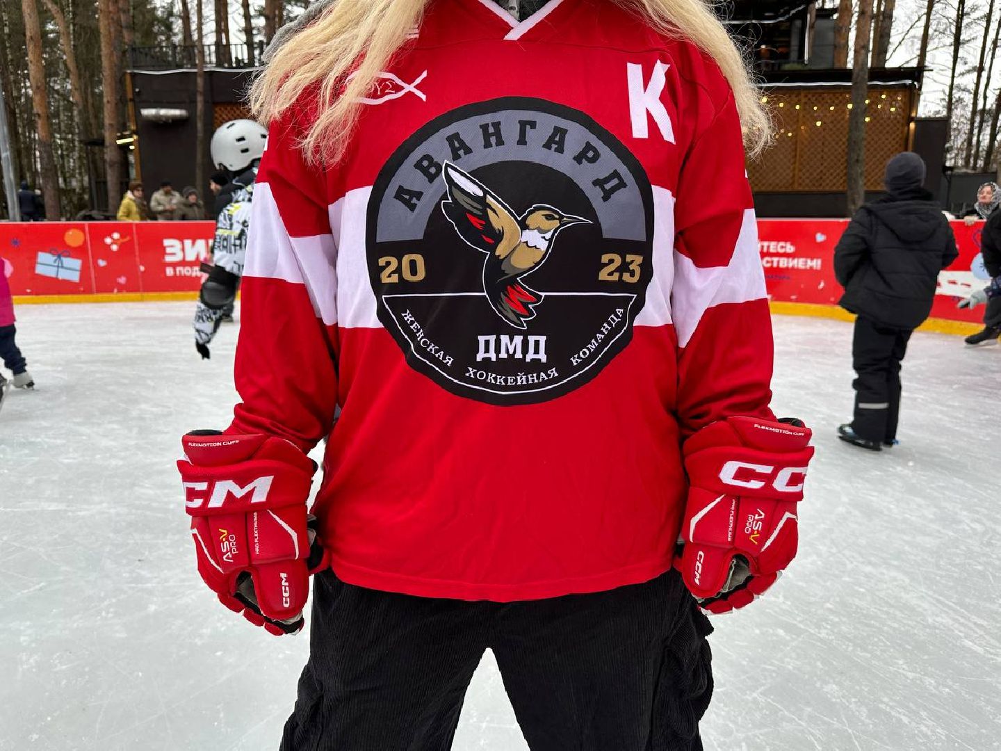 спорт, день хоккея, масте-класс, первый день зимы, парки, вертикалки,