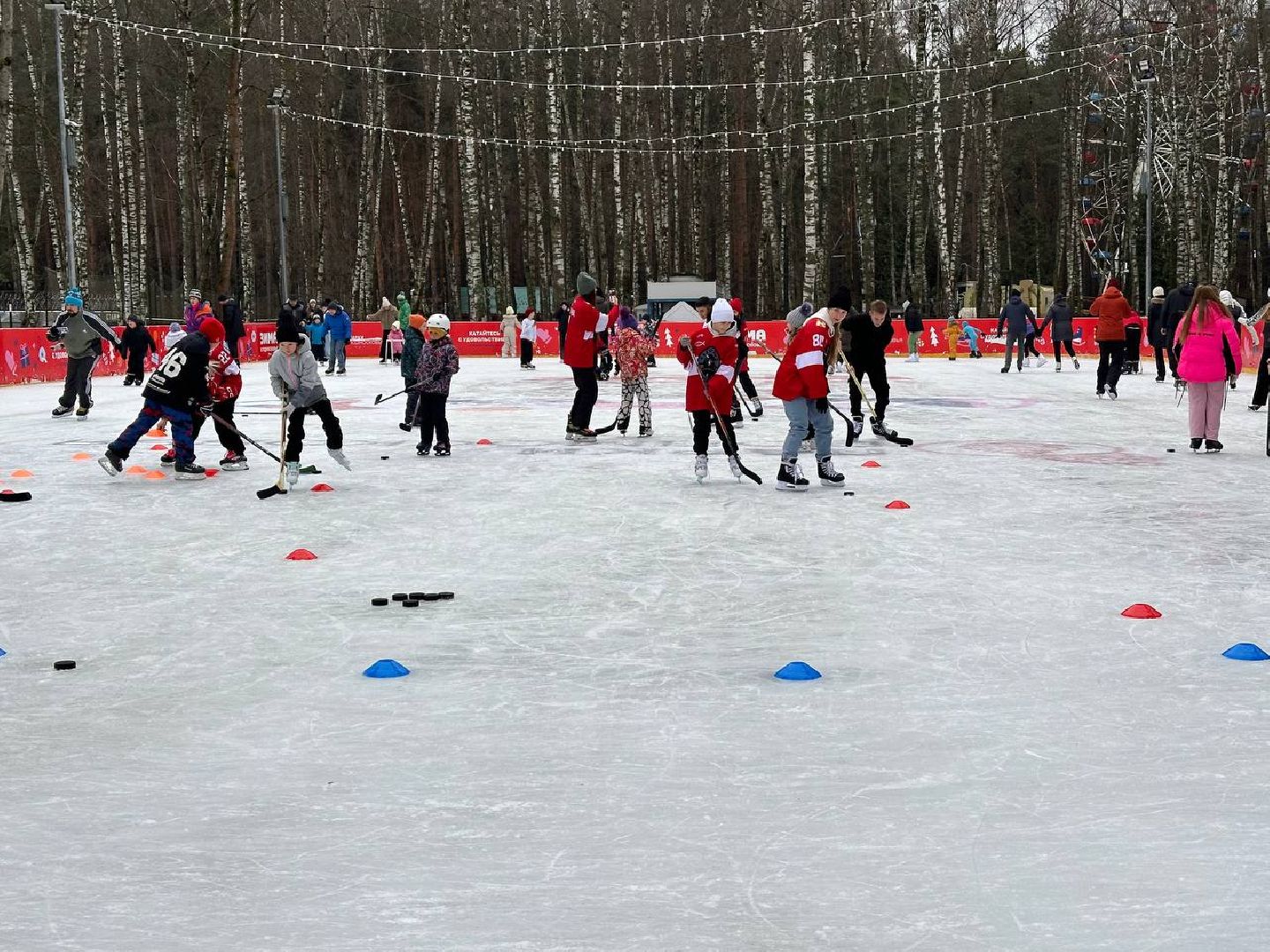 спорт, день хоккея, масте-класс, первый день зимы, парки, вертикалки,