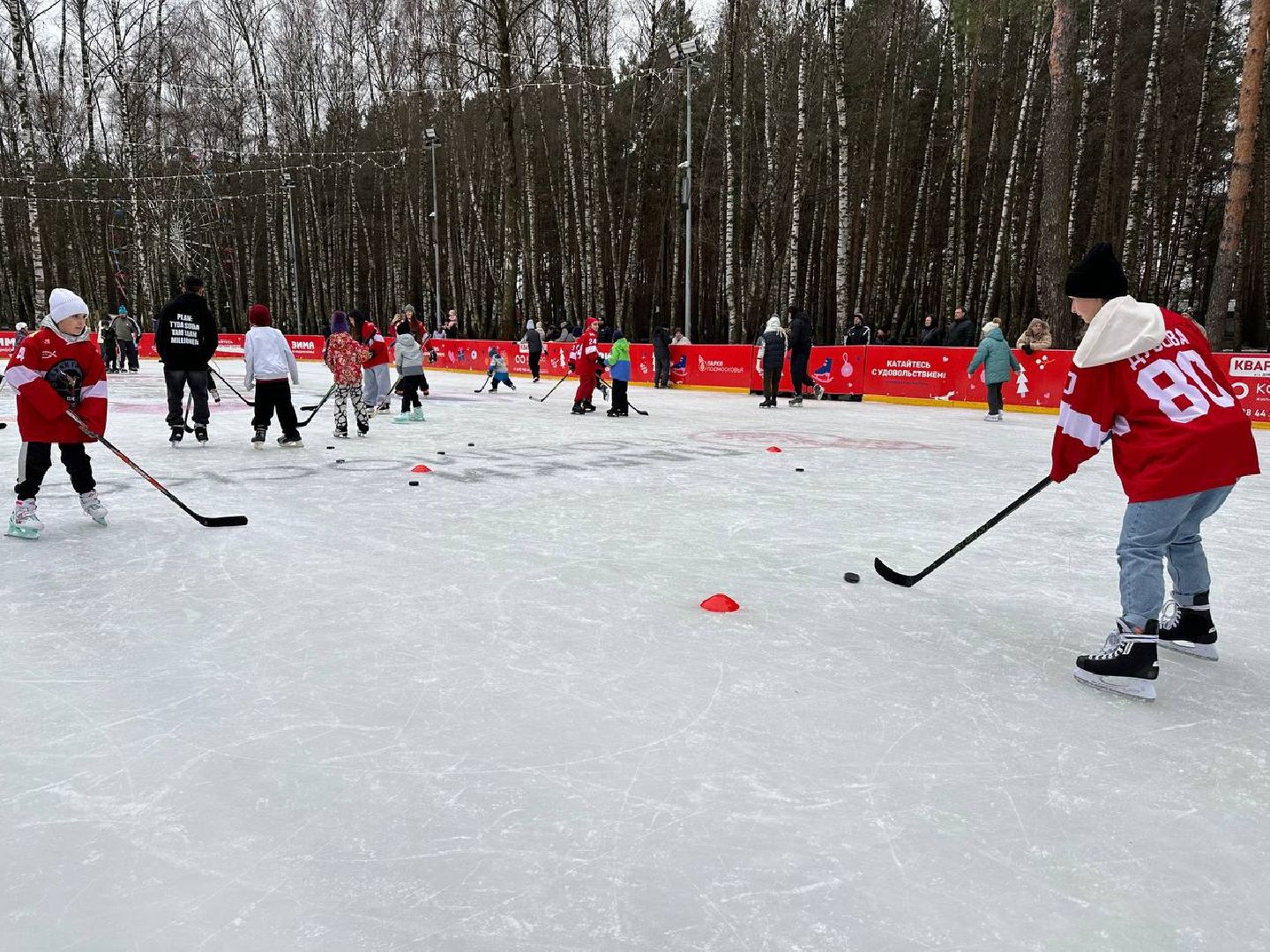 спорт, день хоккея, масте-класс, первый день зимы, парки, вертикалки,