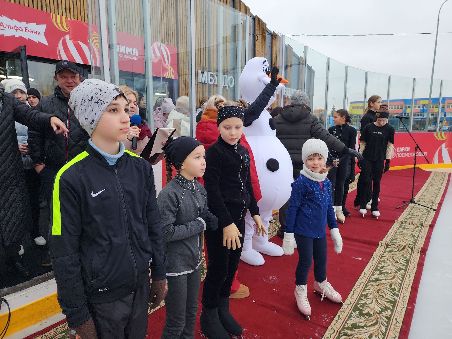 серпухов, зима в подмосковье, парк питомник, ледовый каток, коньки, вертикалки,