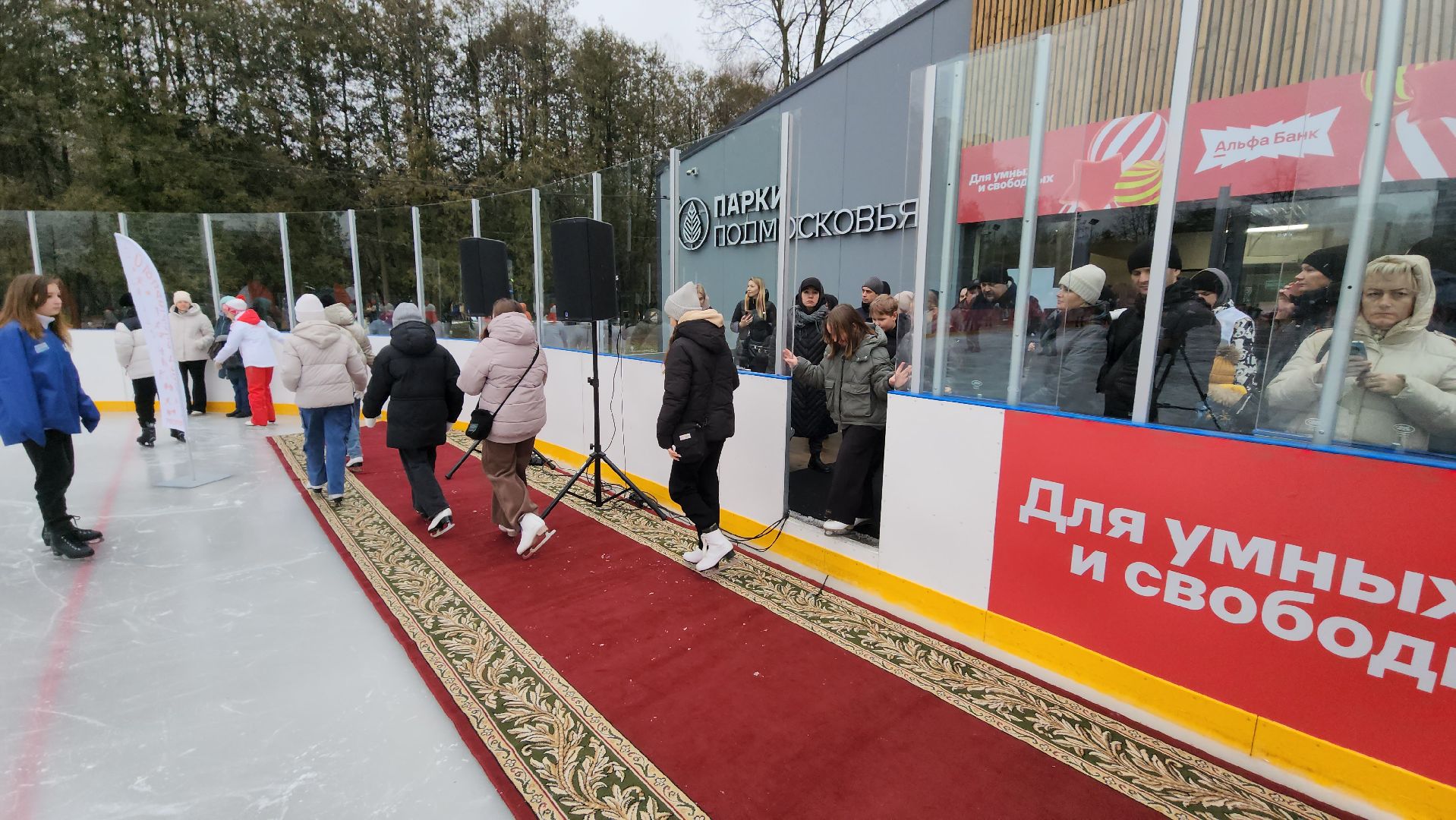 серпухов, зима в подмосковье, парк питомник, ледовый каток, коньки, вертикалки,