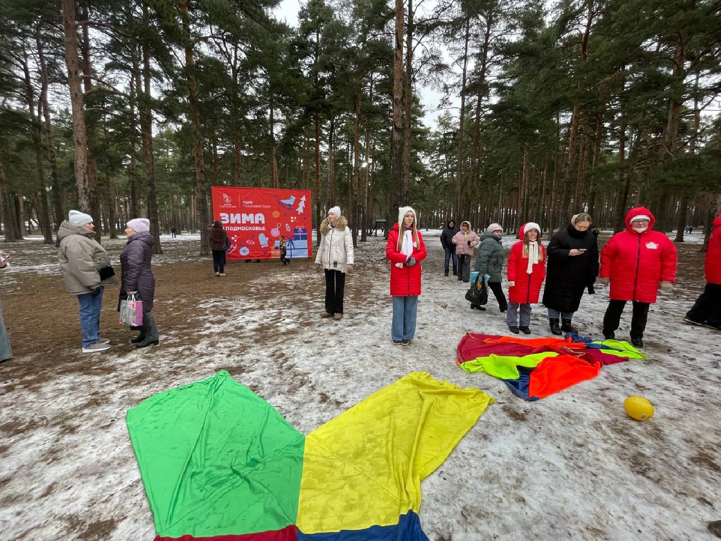 дмитров, парк сосновый бор, проект зима в подмосковье, вертикалки,