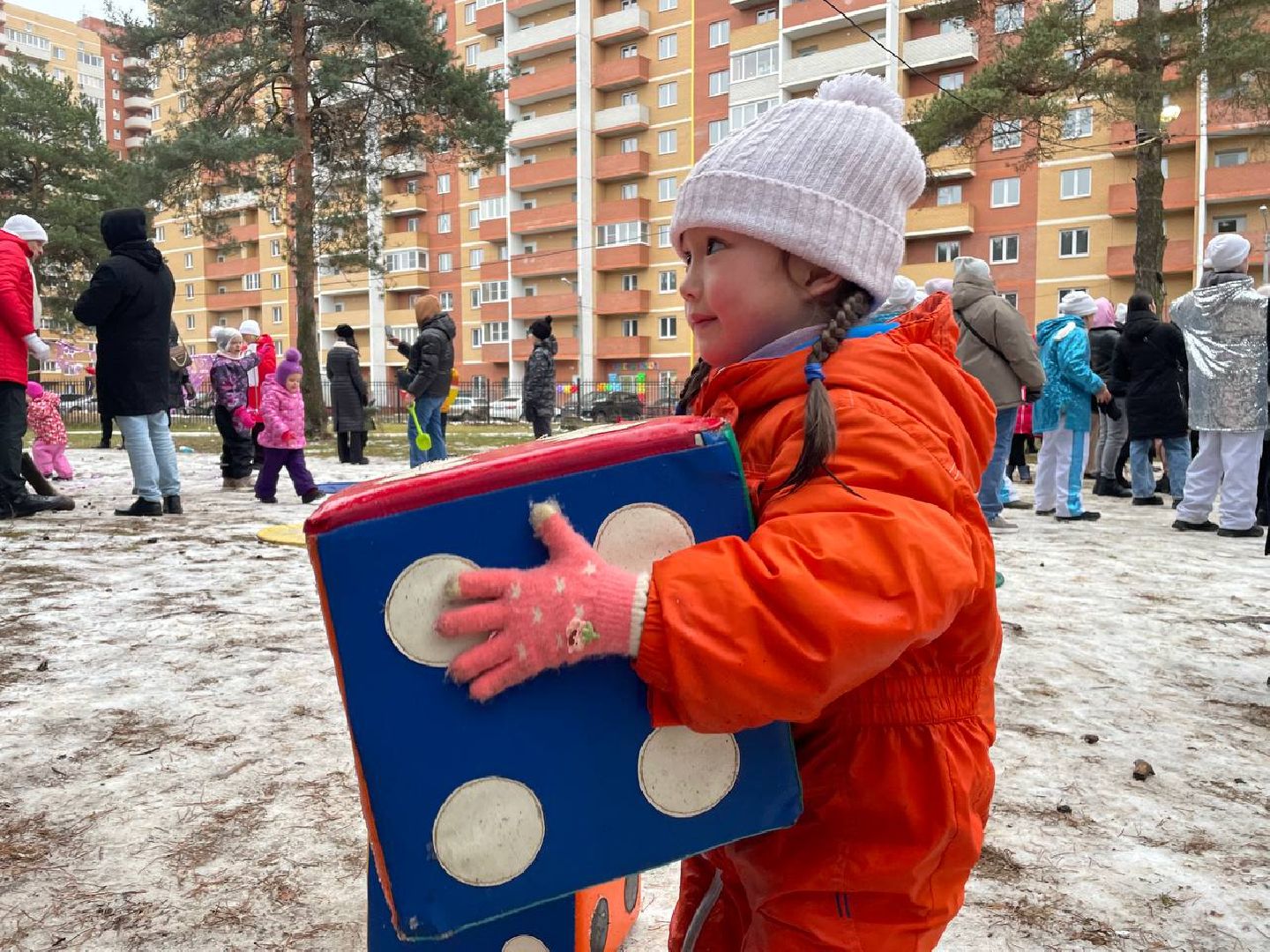 дмитров, парк сосновый бор, проект зима в подмосковье, вертикалки,