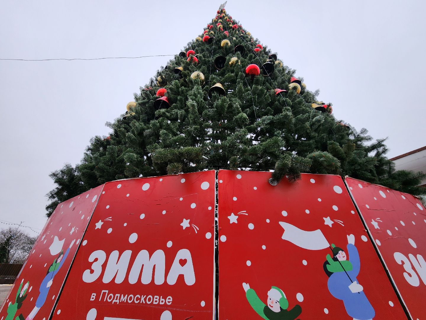 Чехов, Советская площадь, новогодняя елка, встреча с Дедом Морозом, акция Елка желаний, ледовый каток, Зима в Подмосковье, глава округа Михаил Собакин, вертикалки,