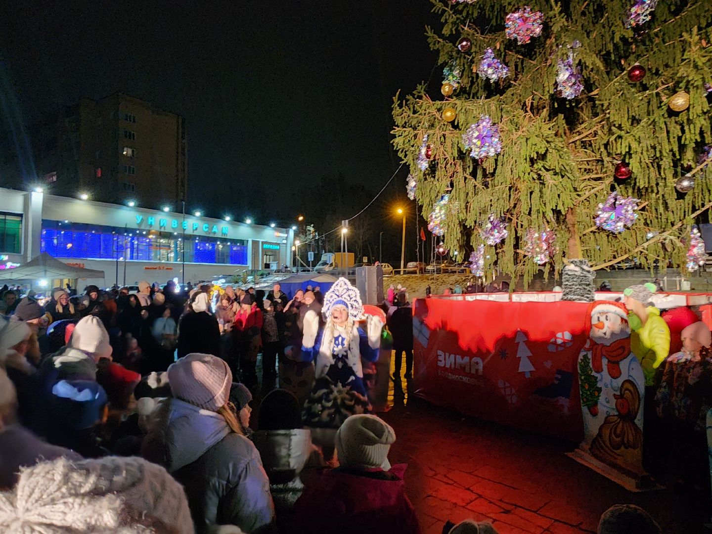 красноармейск, городской округ пушкинский, зимний сезон, вертикалки,