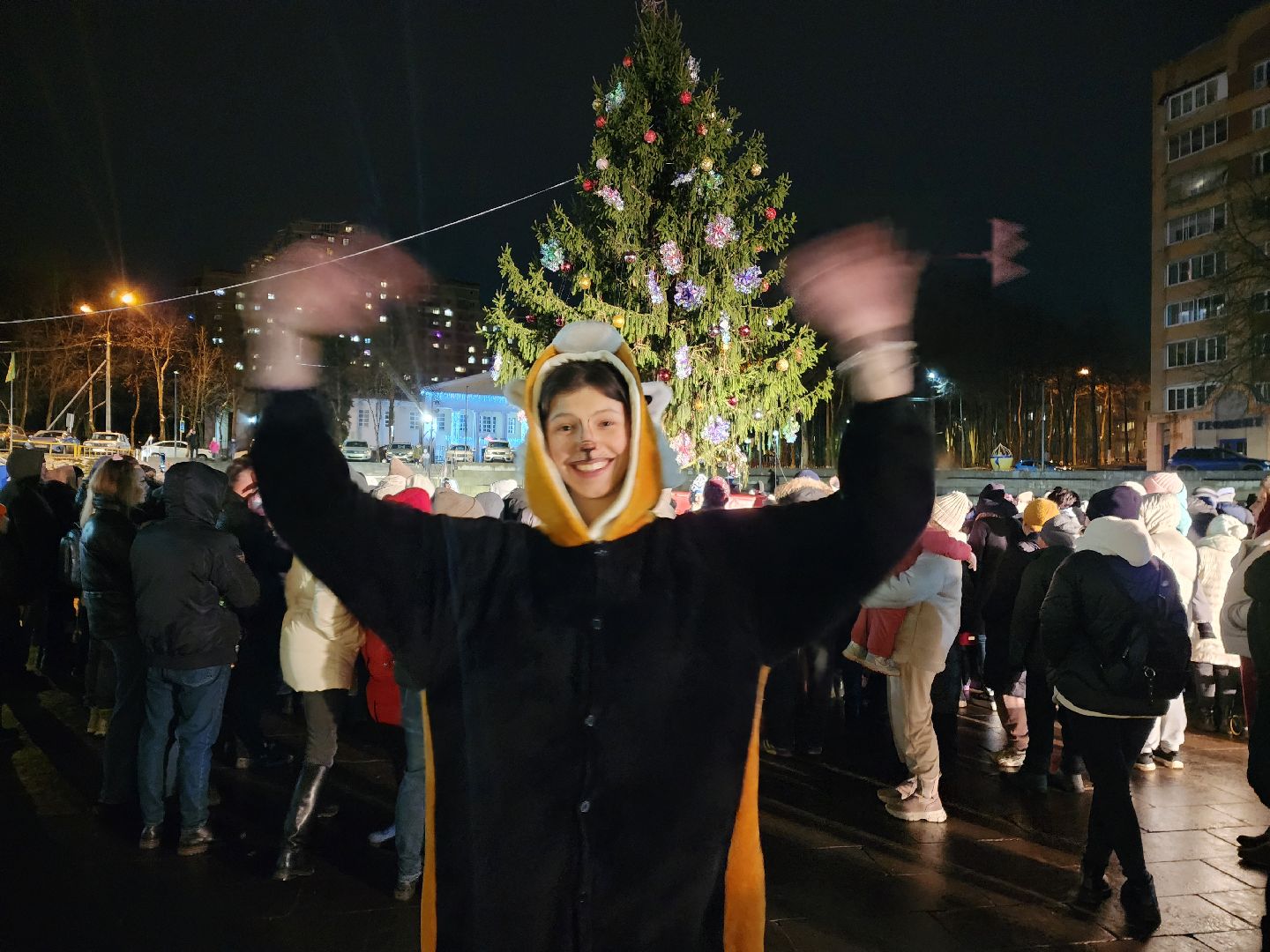 красноармейск, городской округ пушкинский, зимний сезон, вертикалки,