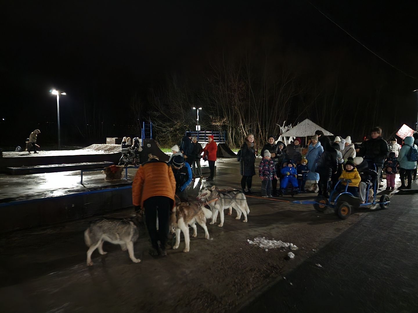 Чехов, парк культуры и отдыха, проект Зима в Подмосковье, открытие нового зимнего сезона, мероприятие Парк зажигает огни, народные гуляния и забавы, праздничная программа, анимация, новогодняя елка, зима в подмосковье, вертикалки,