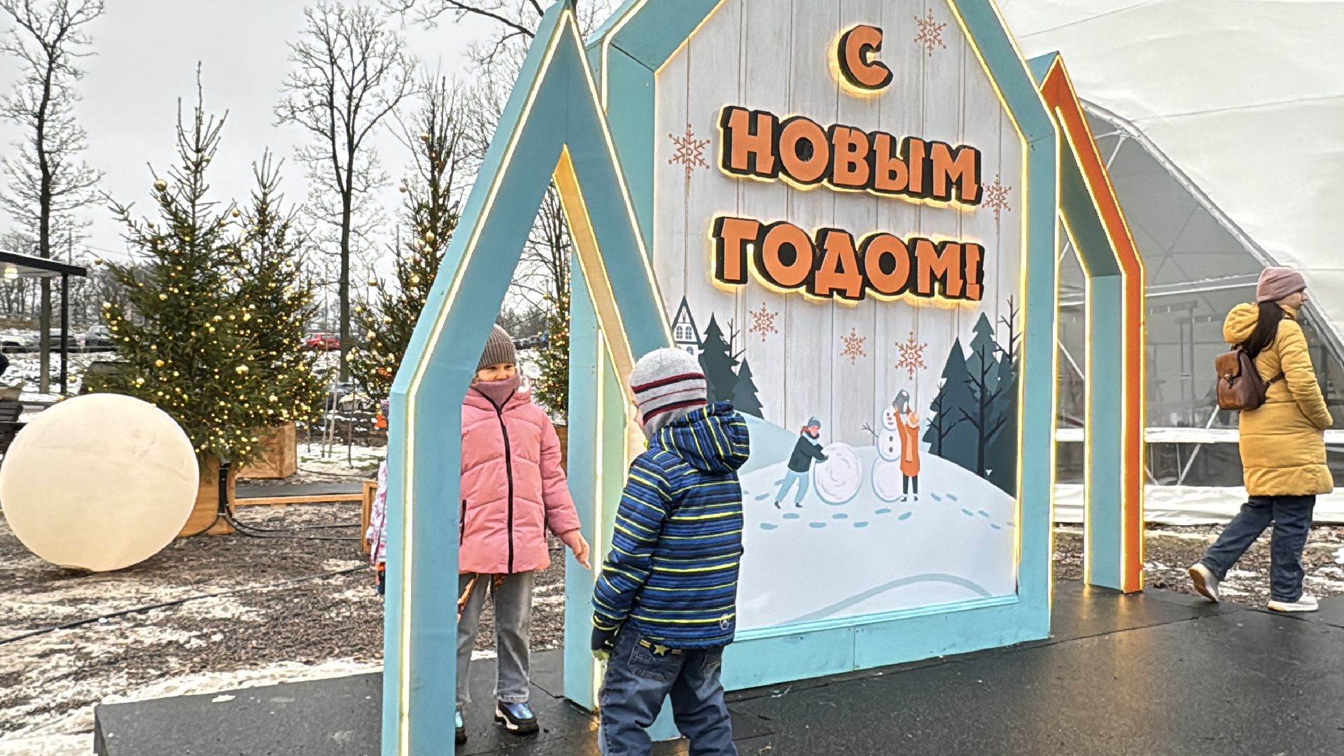 Одинцовский парк, зима в подмосковье, вертикалка, вертикальное видео