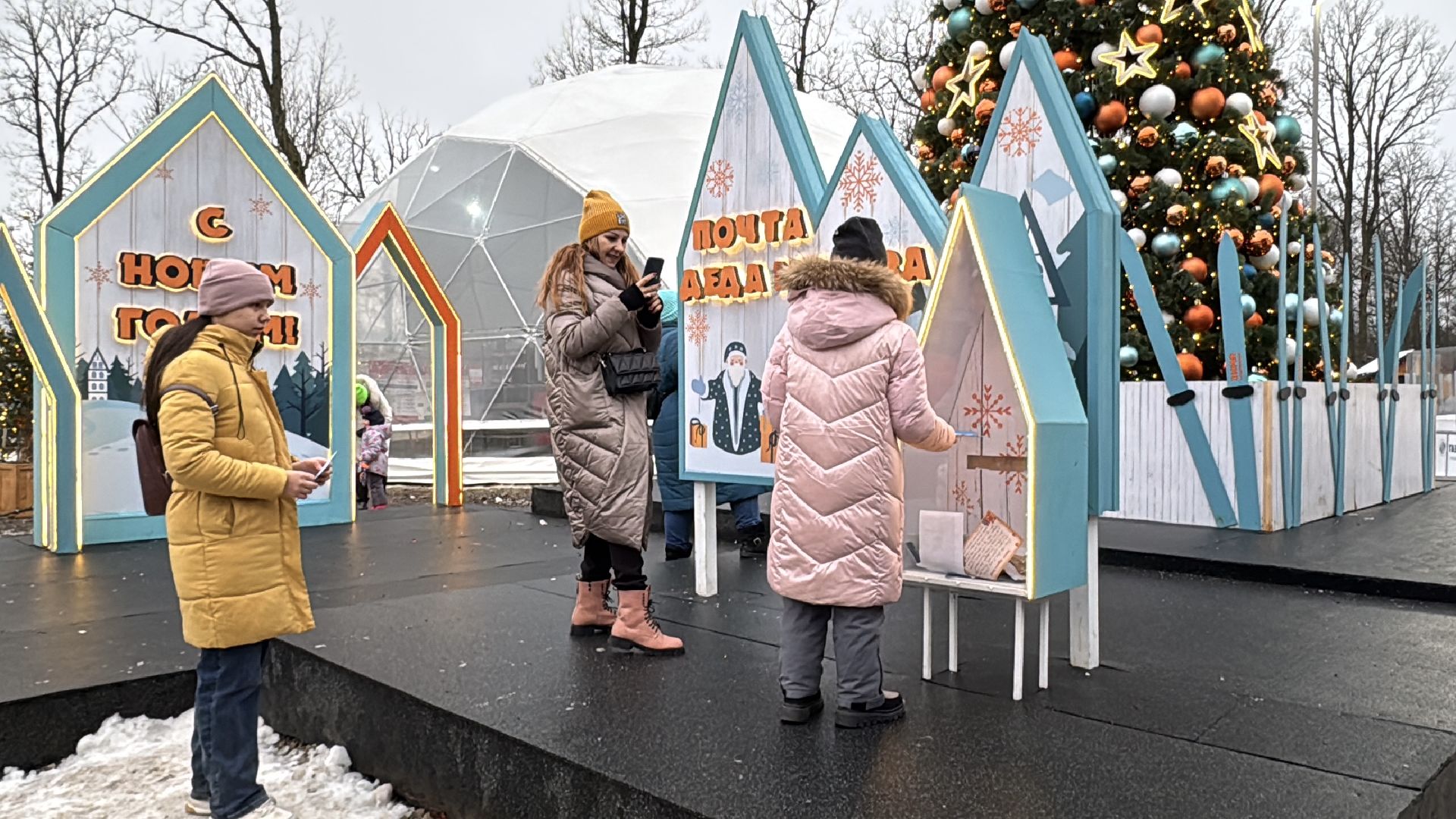 Одинцовский парк, зима в подмосковье, вертикалка, вертикальное видео