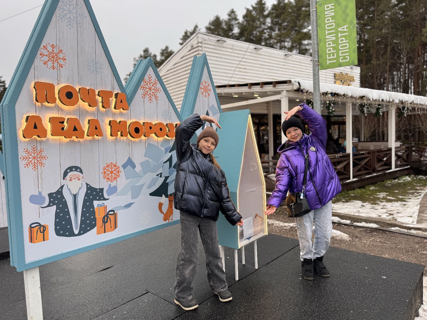 Одинцовский парк, зима в подмосковье, вертикалка, вертикальное видео
